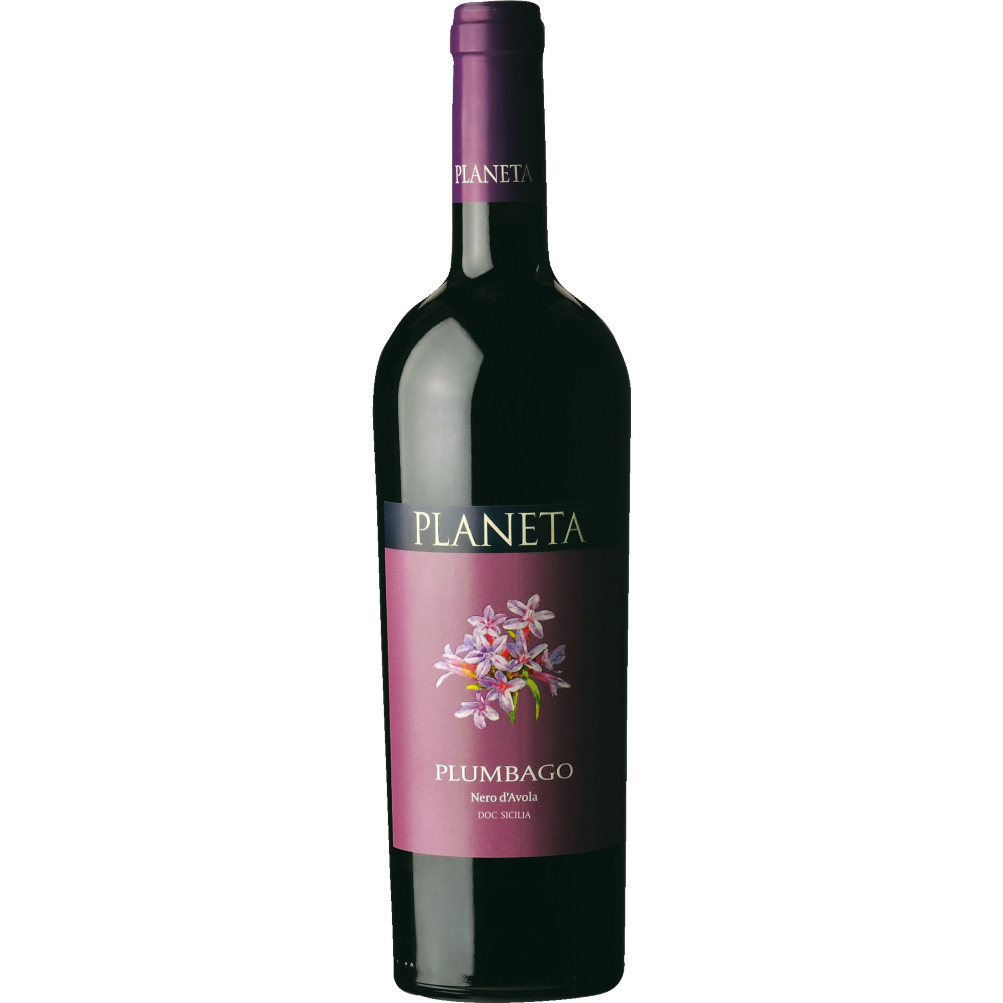 Plumbago Nero d'Avola, Menfi Sicilia DOC, Sizilien, 2023, Rotwein