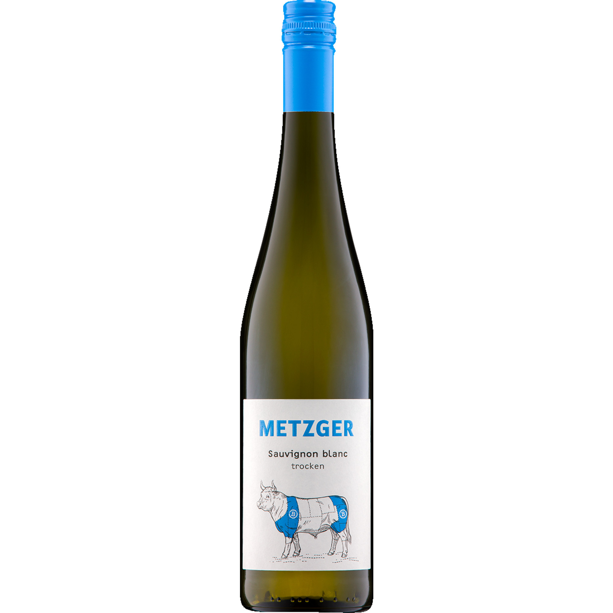 Pastorenstück Sauvignon Blanc, Trocken, Pfalz, Pfalz, 2025, Weißwein