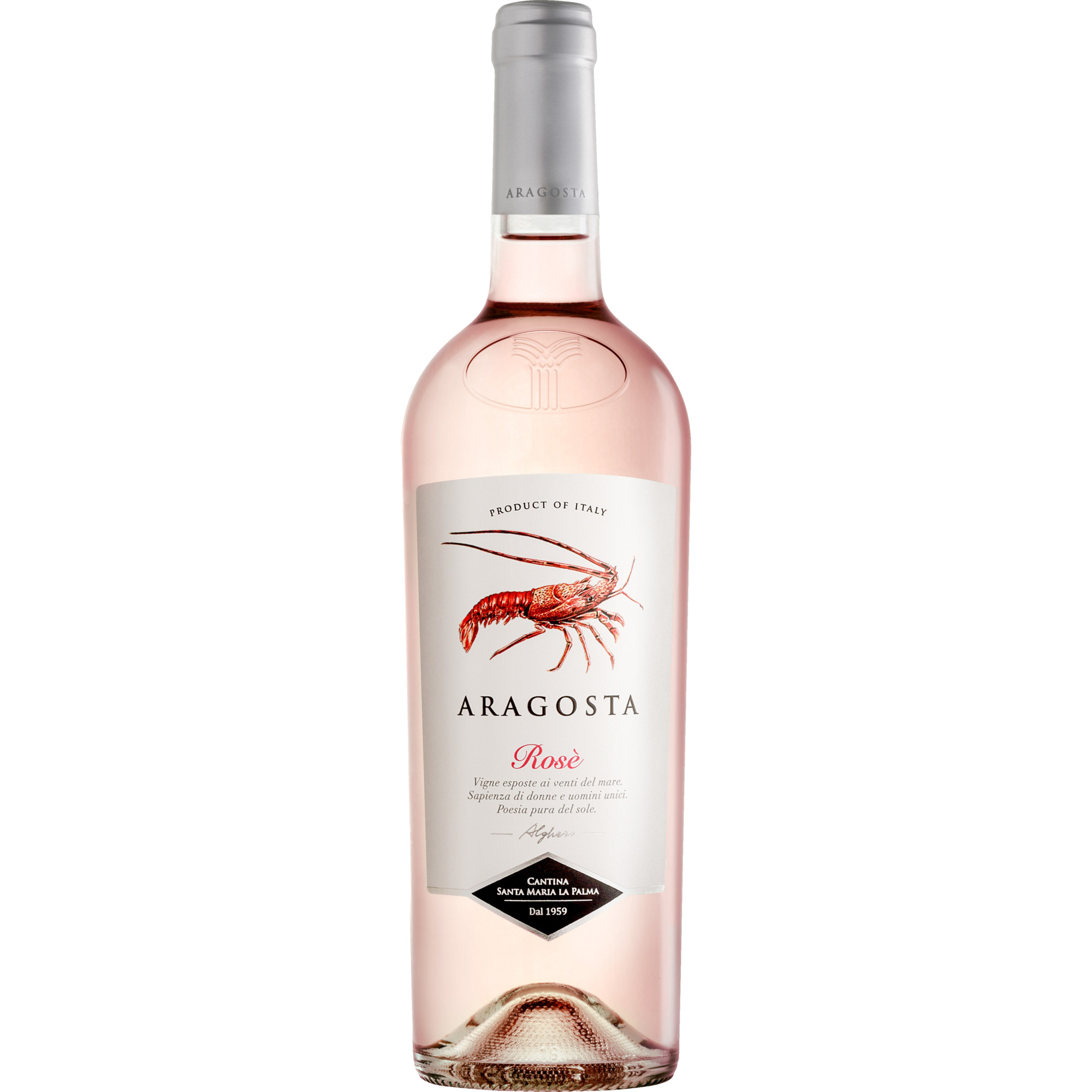 Aragosta Rosé, Alghero DOC, Sardinien, 2025, Roséwein