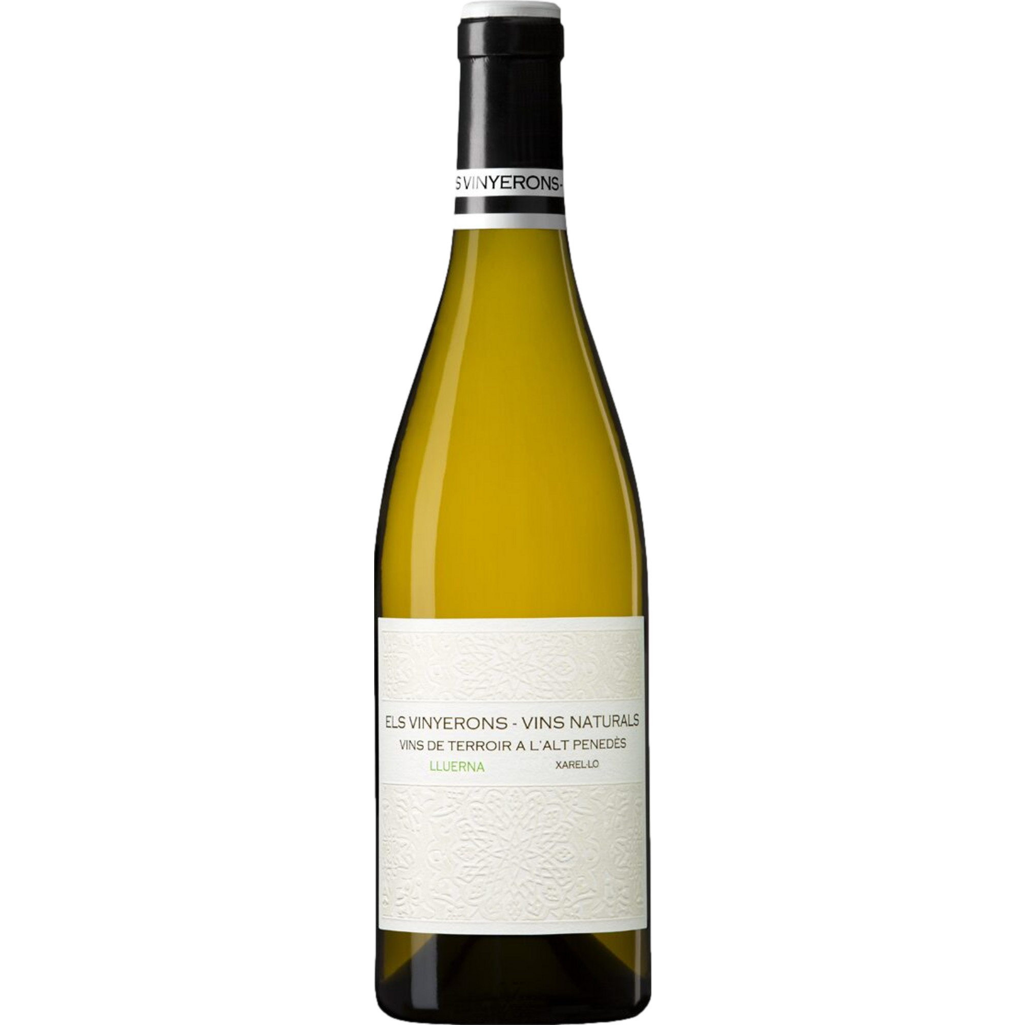 Els Vinyerons Lluerna Xarel.lo, Penedès DOP, Katalonien, 2023, Weißwein