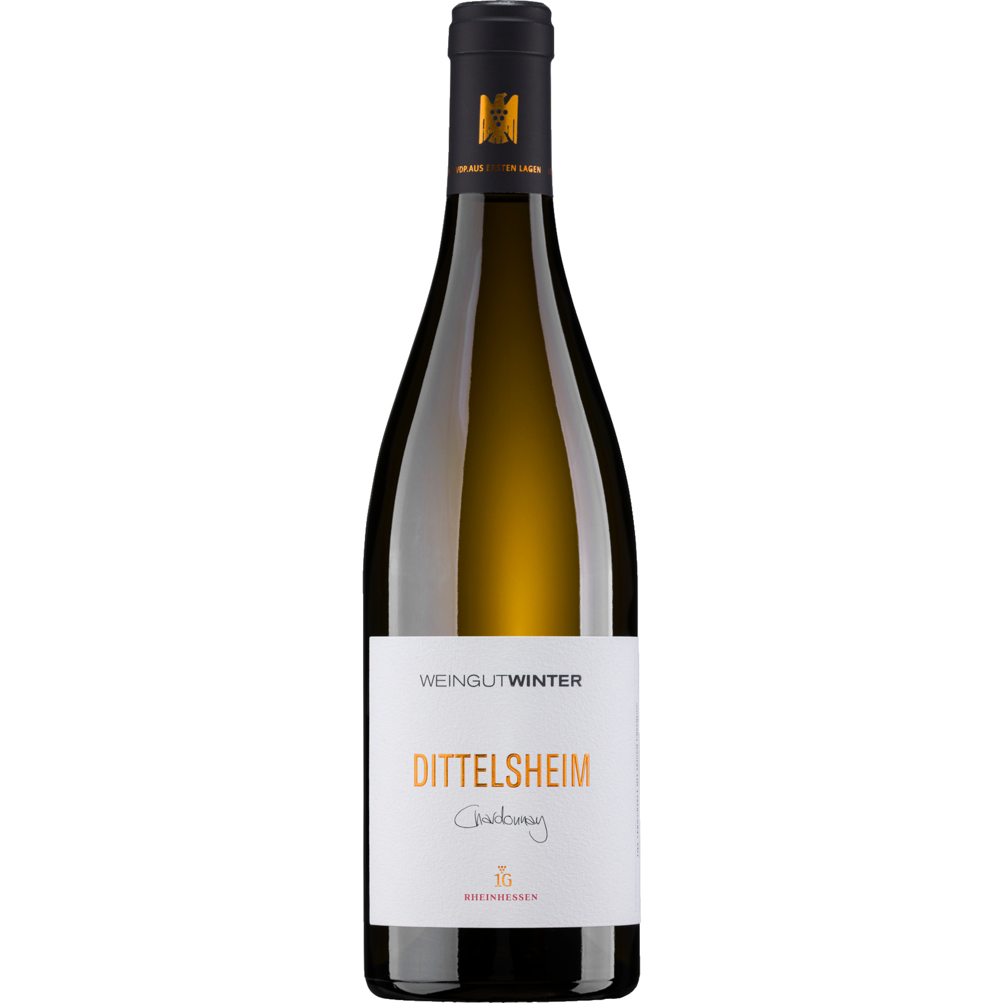 Dittelsheim Weissburgunder Erstes Gewächs, Trocken, Rheinhessen, Rheinhessen, 2023, Weißwein