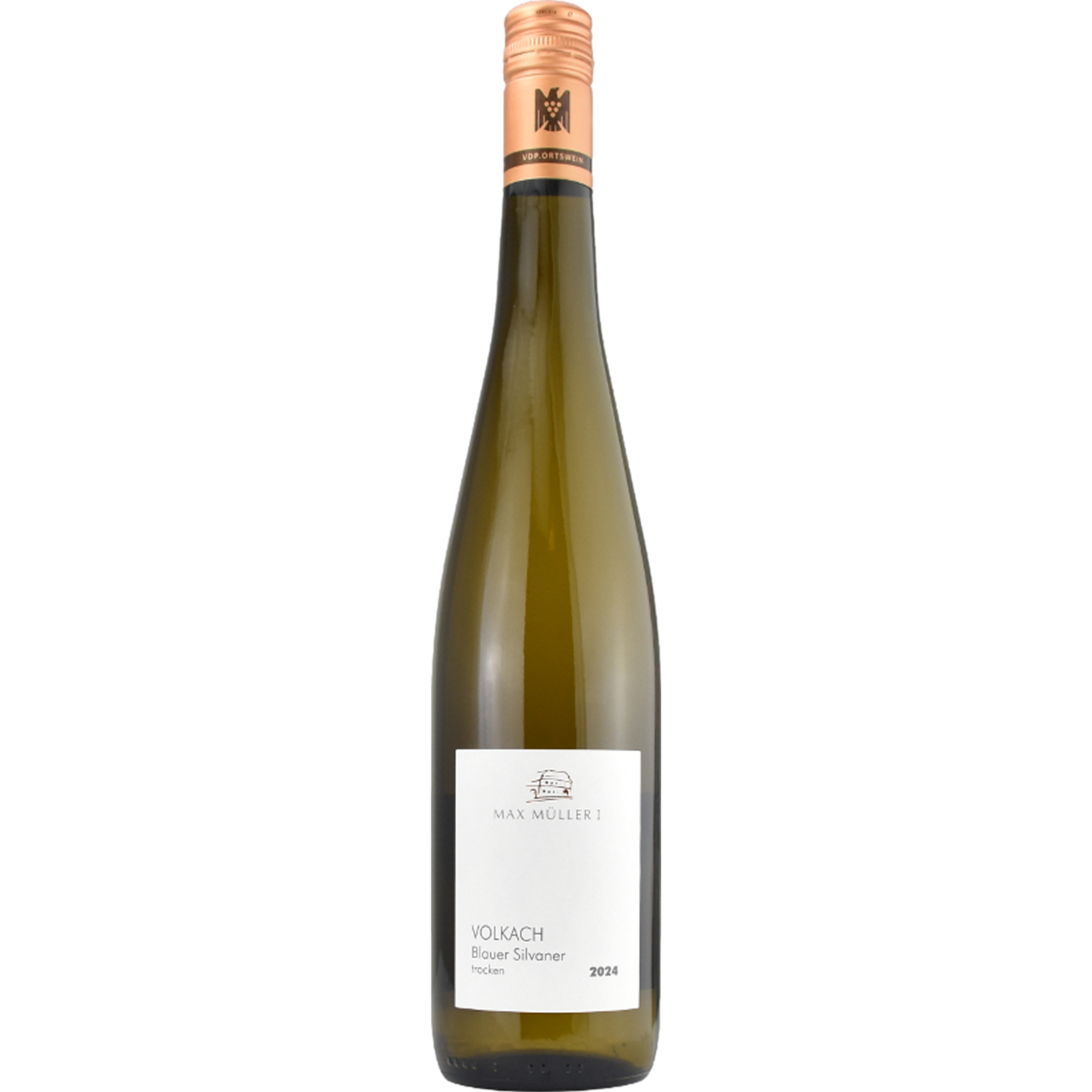 Max Müller Volkach Blauer Silvaner, Trocken, Franken, Franken, Weißwein