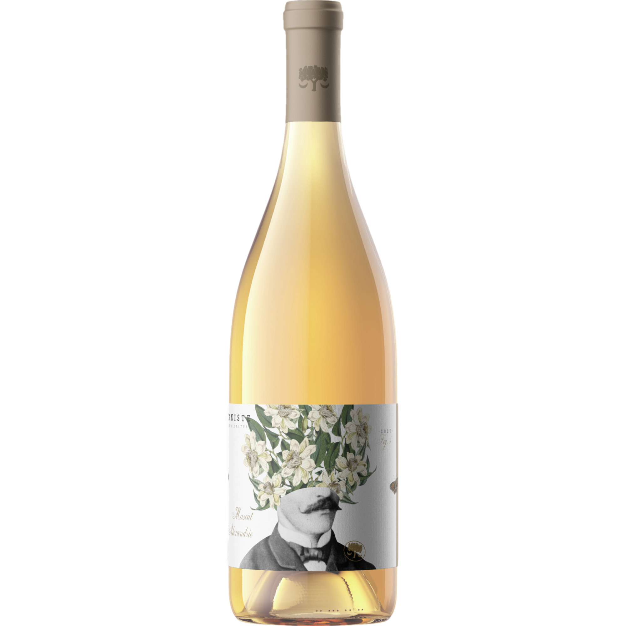 Le Botaniste Petit Grains, Muscat des Rivesaltes AOP, Languedoc-Roussillon, 2025, Weißwein
