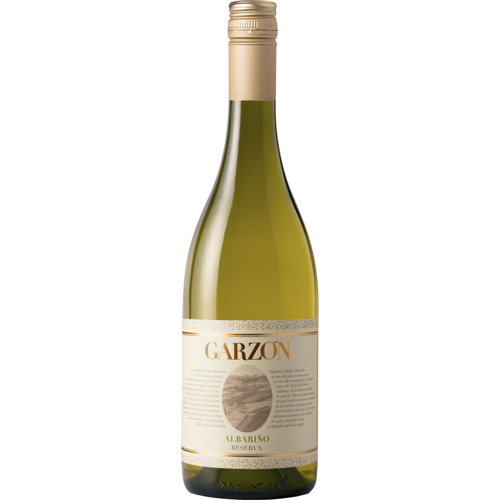 Garzón Albariño Reserva, Maldonado, Uruguay, Maldonado, 2025, Weißwein