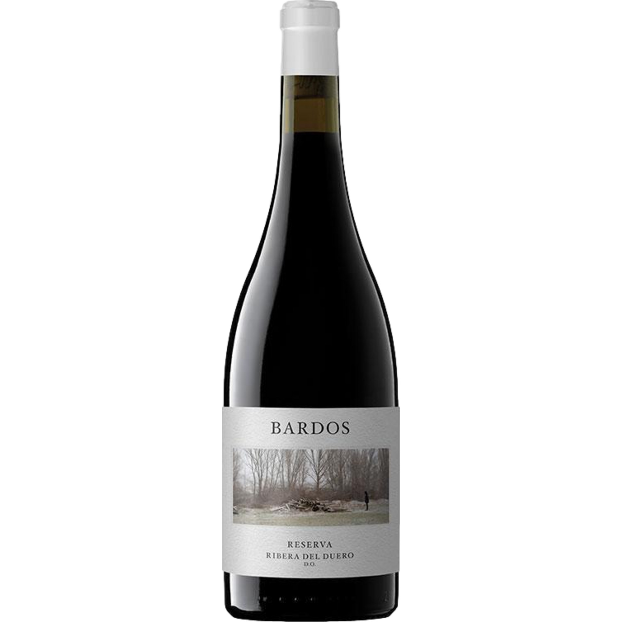 Bodega de Bardos Reserva, Ribera del Duero DO, Kastilien - León, 2021, Rotwein