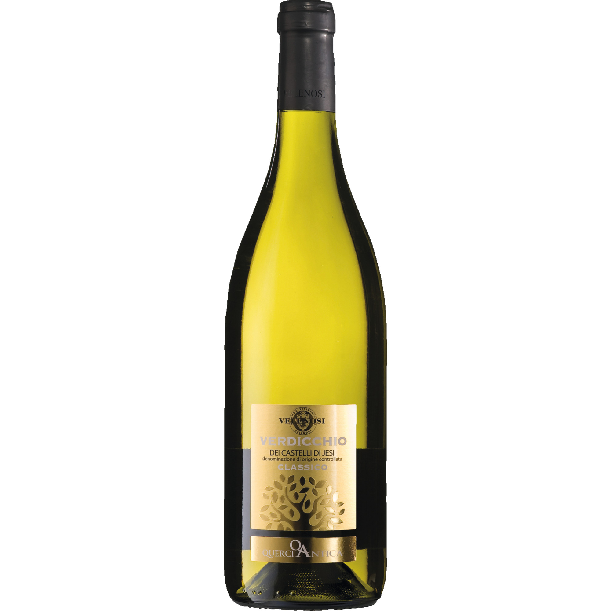 Verdicchio dei Castelli di Jesi Classico, Marche DOC, Marken, 2025, Weißwein