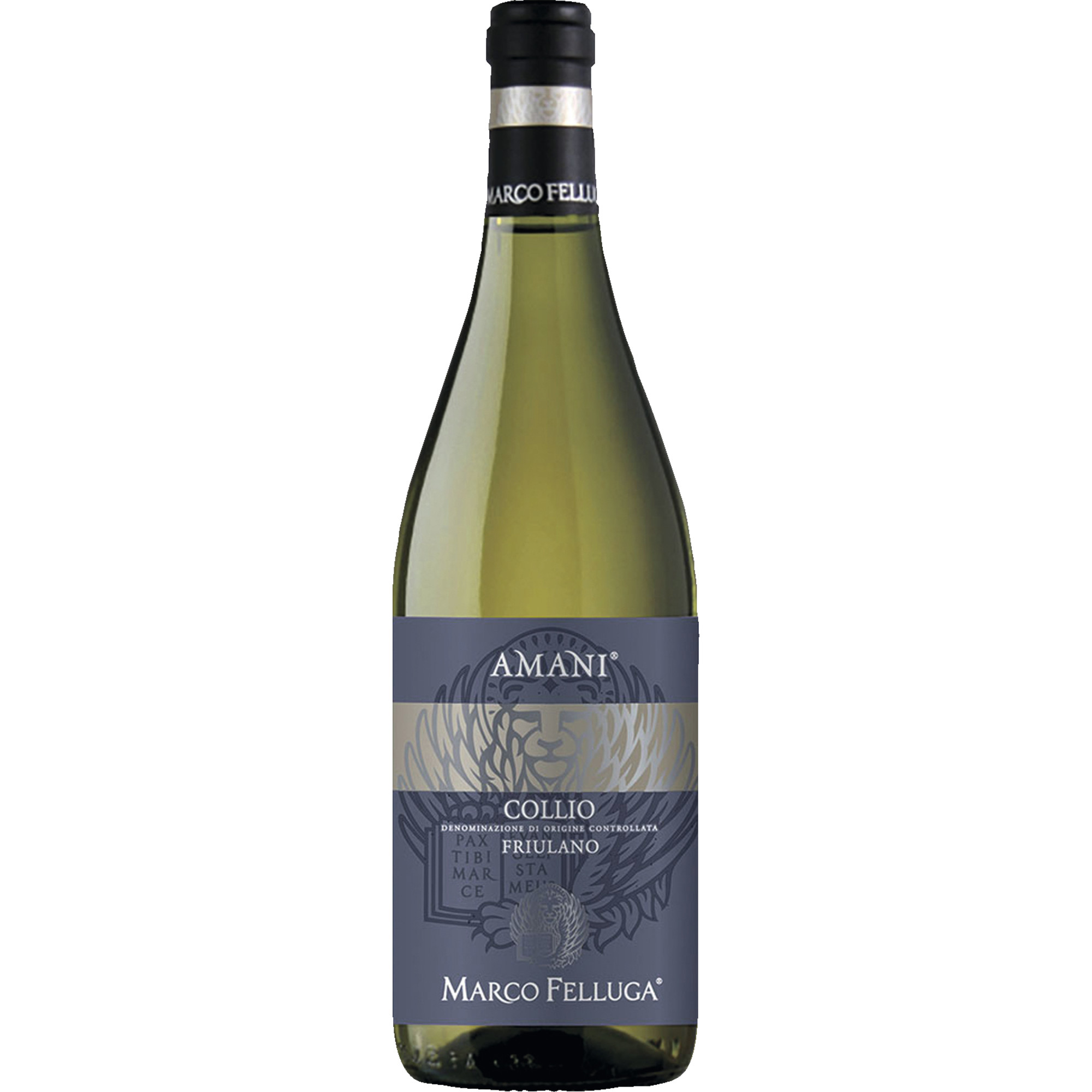 Collio Friulano, Friaul DOC, Friaul, 2025, Weißwein