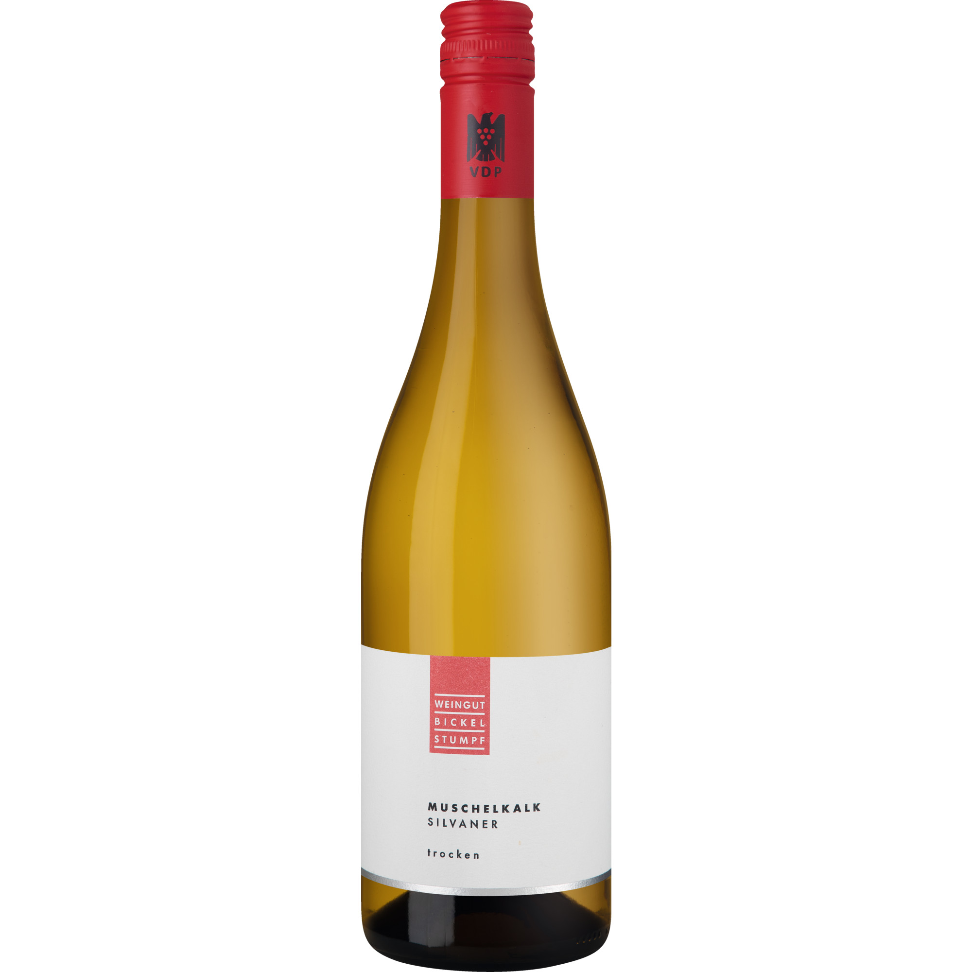 Muschelkalk Silvaner, Trocken, Franken, Franken, 2025, Weißwein