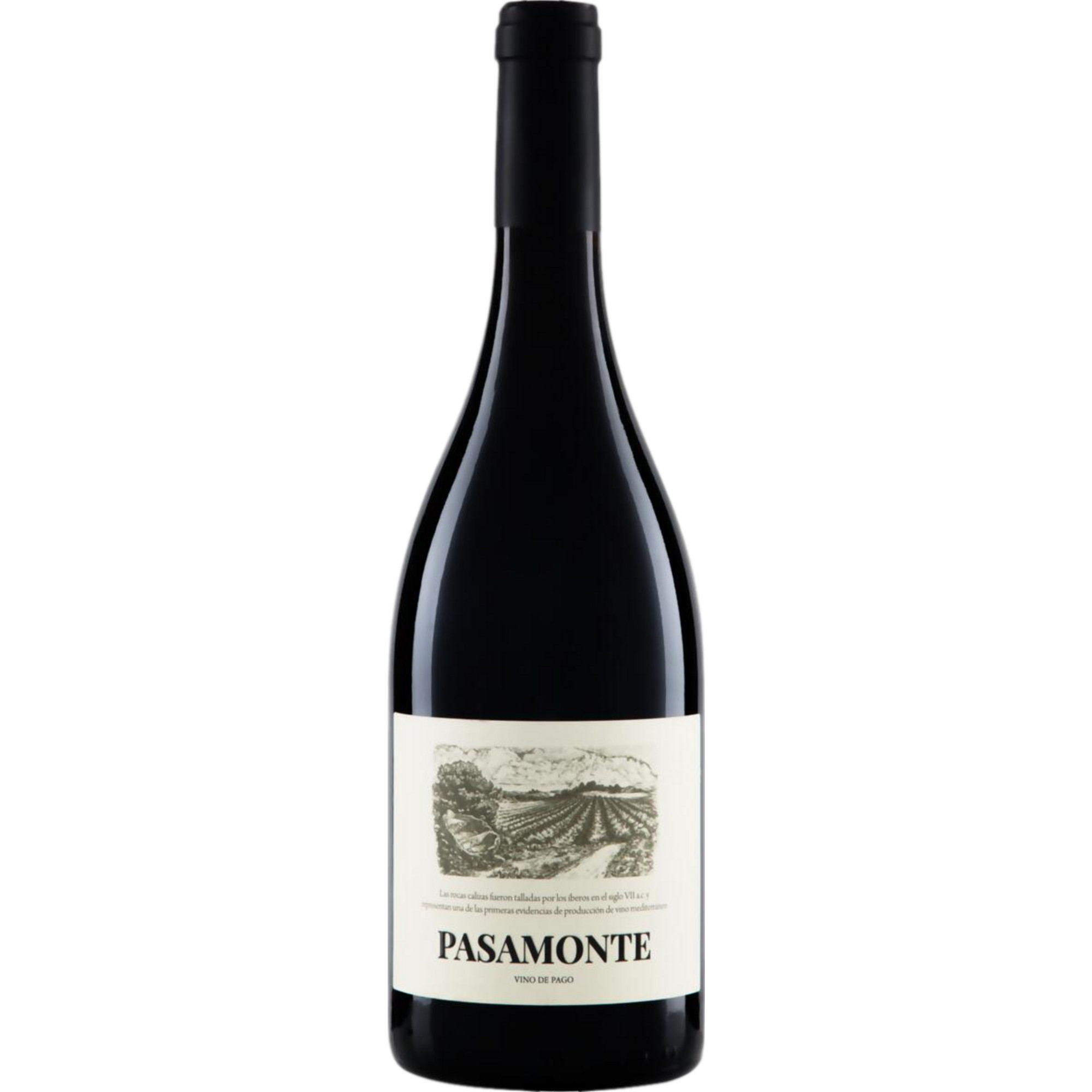 Vegalfaro Pasamonte Los Balagueses, Utiel-Requena DO, Utiel-Requena D.O., 2022, Rotwein