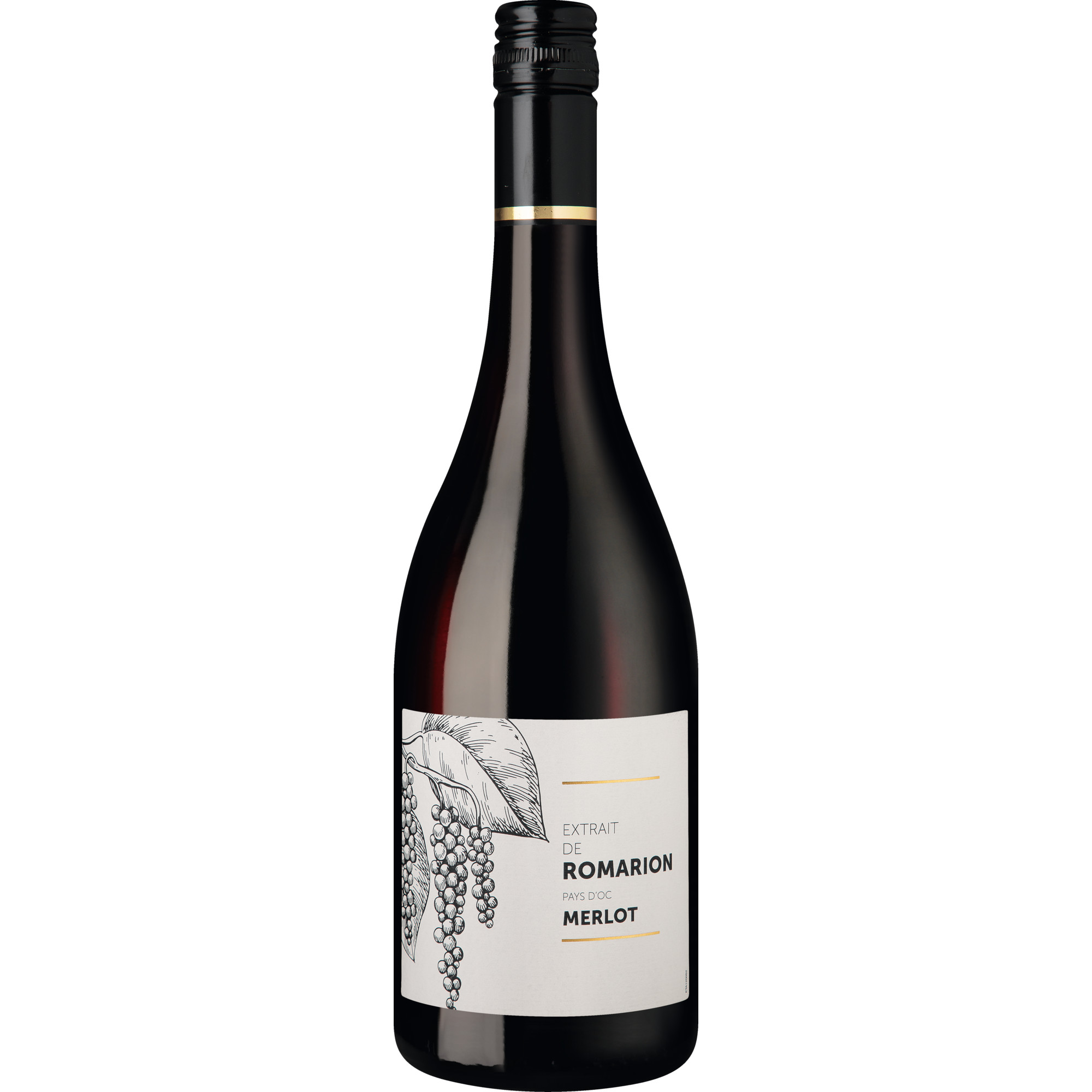 Extrait de Romarion Merlot Pays d'Oc 2024