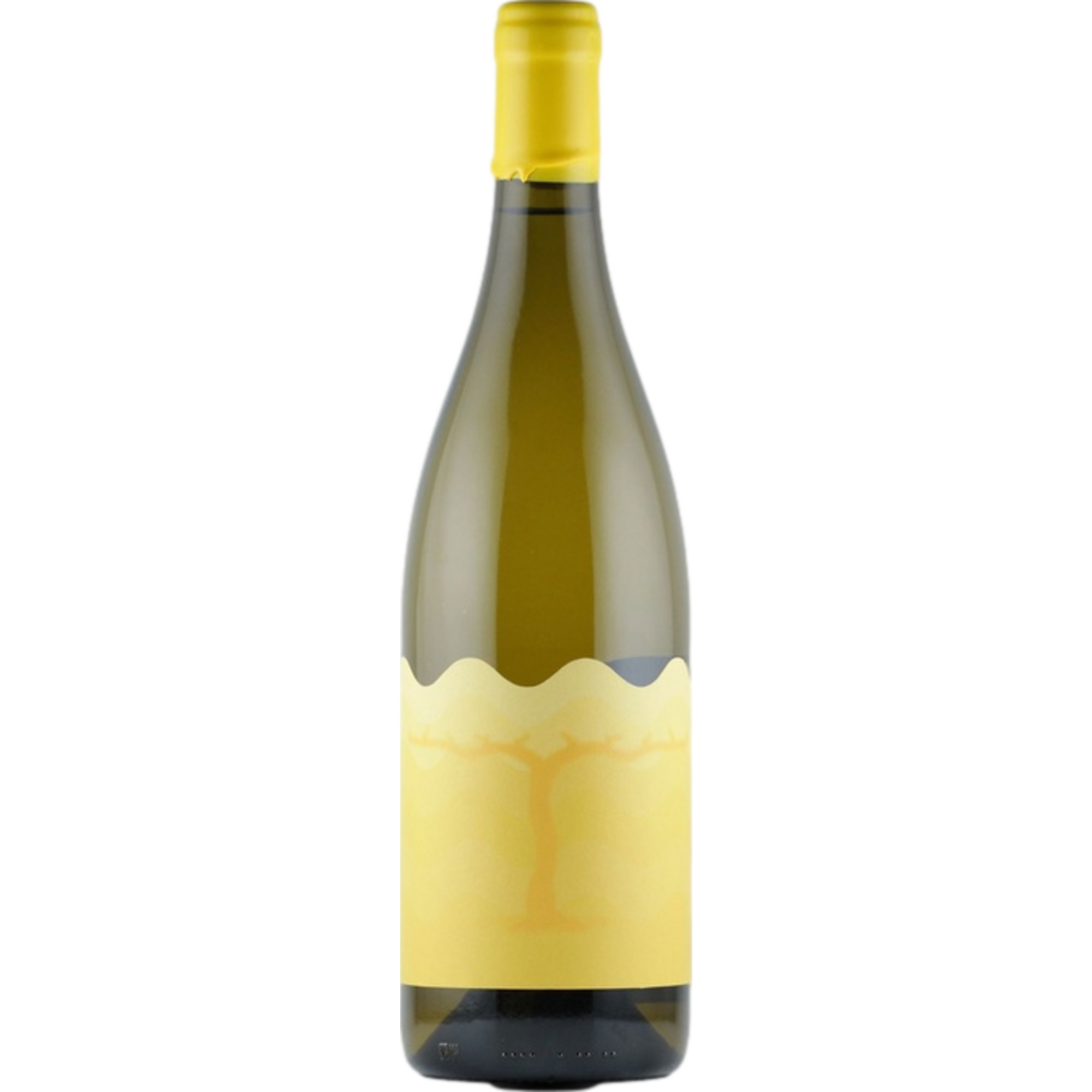 Pery Wines Rkatsiteli, Trocken, Georgien, Kakheti, Weißwein