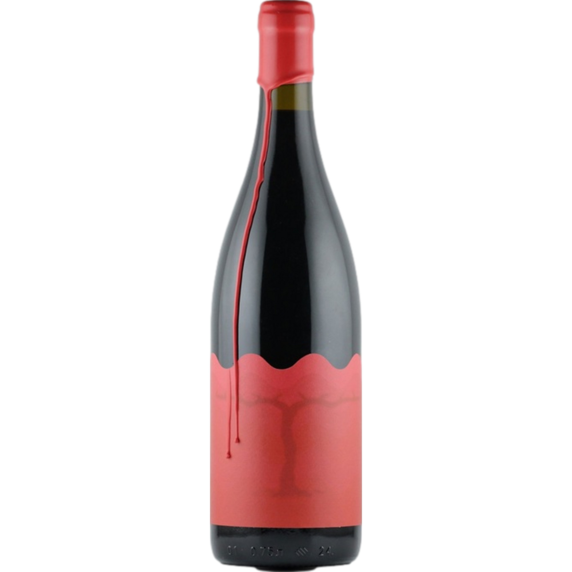 Pery Wines Saperavi, Trocken, Georgien, Kakheti, Rotwein