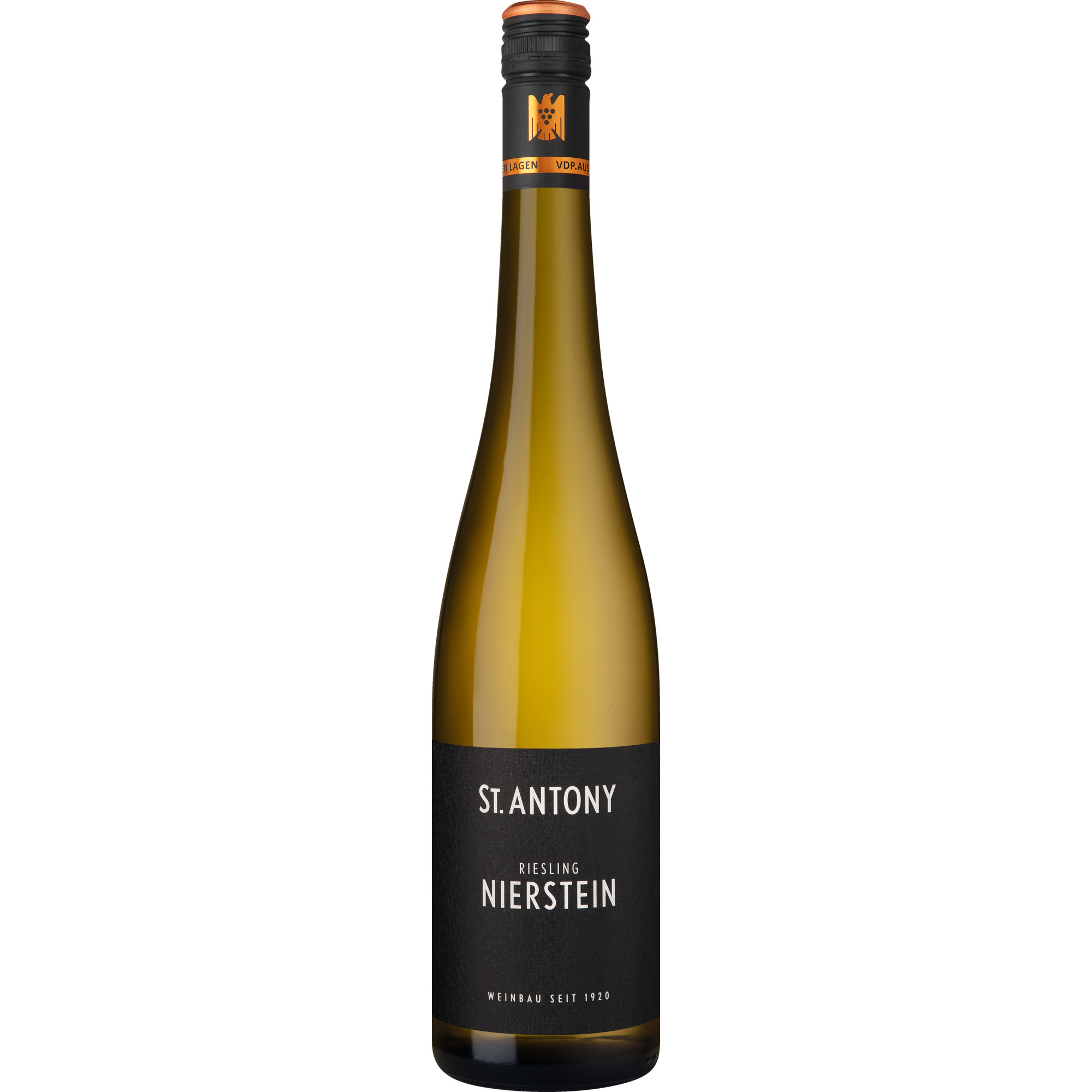 Nierstein Riesling, Trocken, Rheinhessen, Rheinhessen, 2025, Weißwein