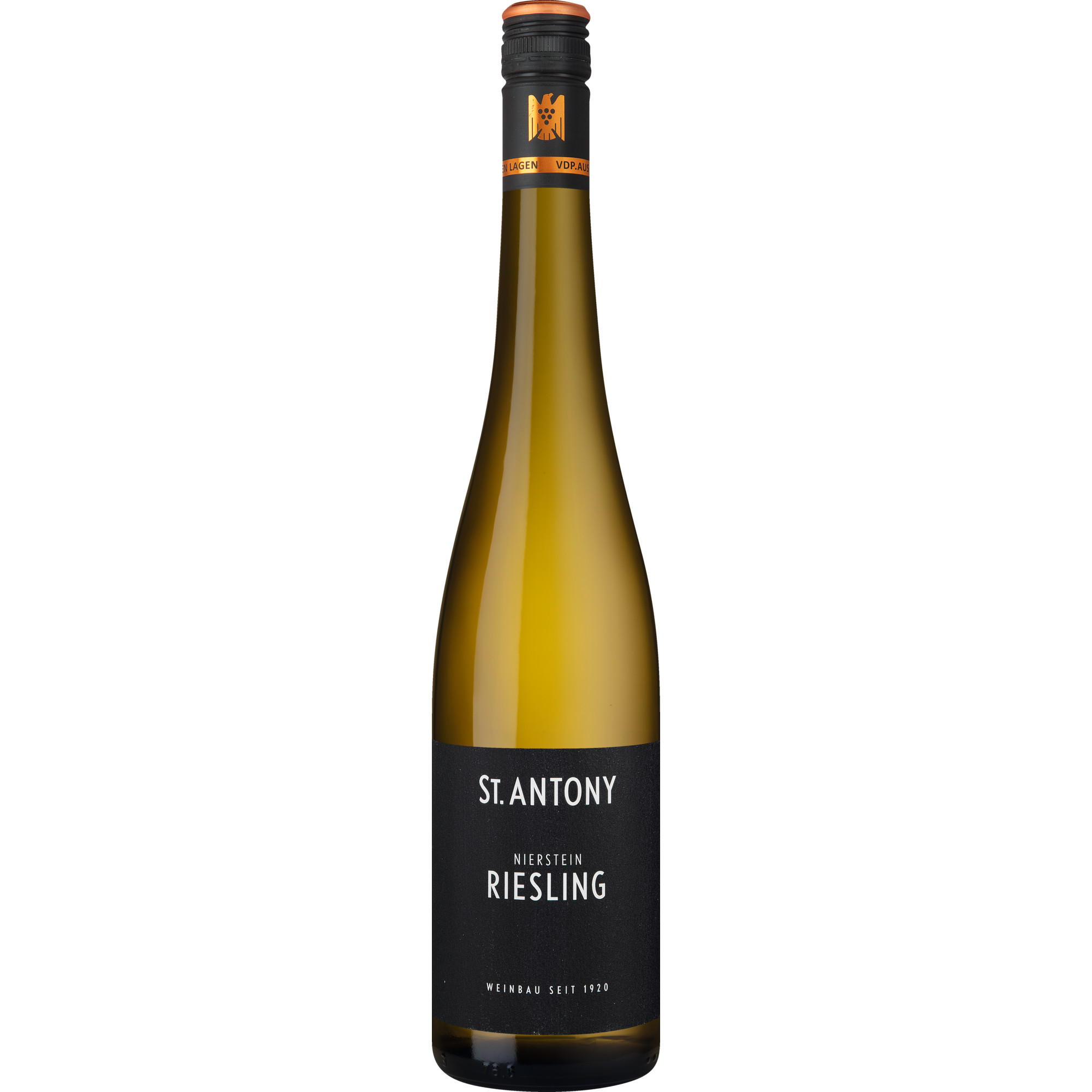 Nierstein Riesling, Trocken, Rheinhessen, Rheinhessen, 2025, Weißwein