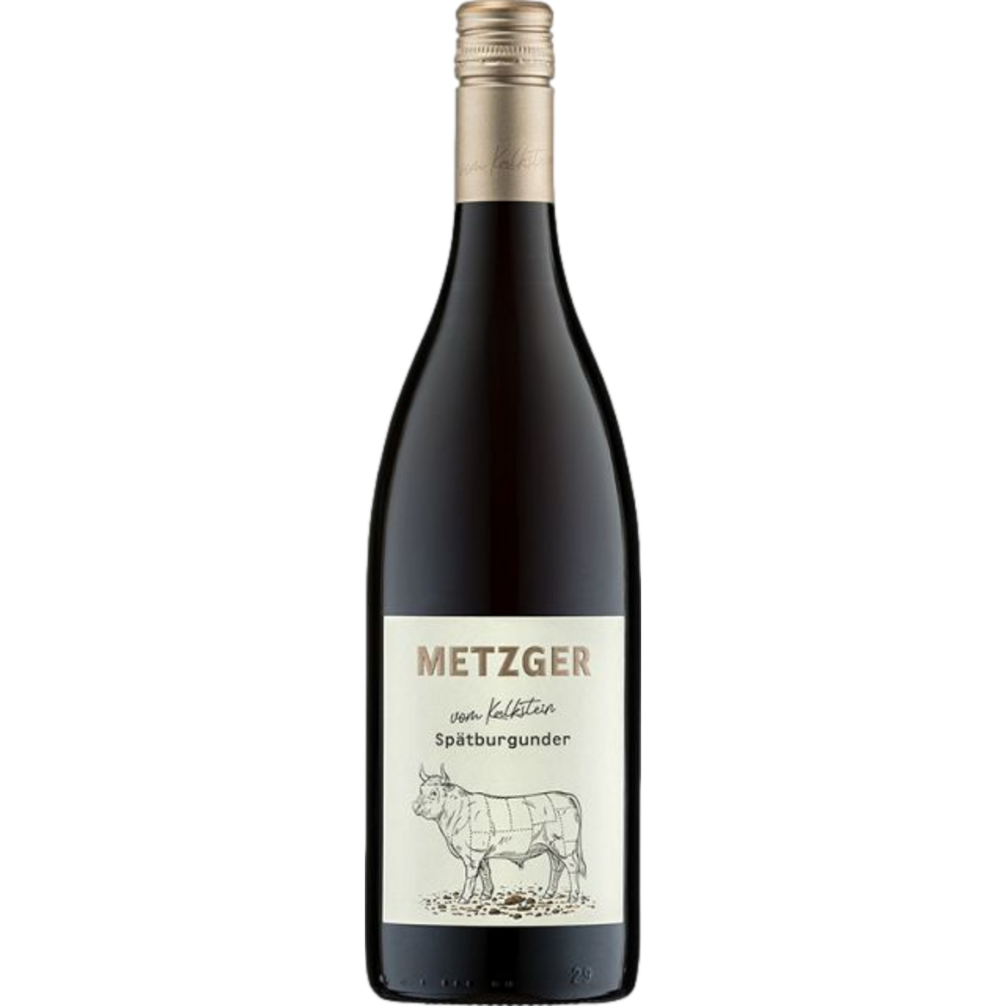 Metzger Spätburgunder vom Kalkstein, Trocken, Pfalz, Pfalz, 2021, Rotwein