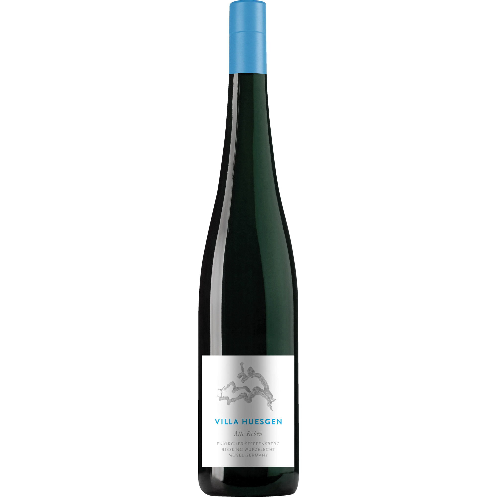 Villa Huesgen Enkircher Steffe Alte Rebe Riesling, Trocken, Mosel, Mosel, 2023, Weißwein