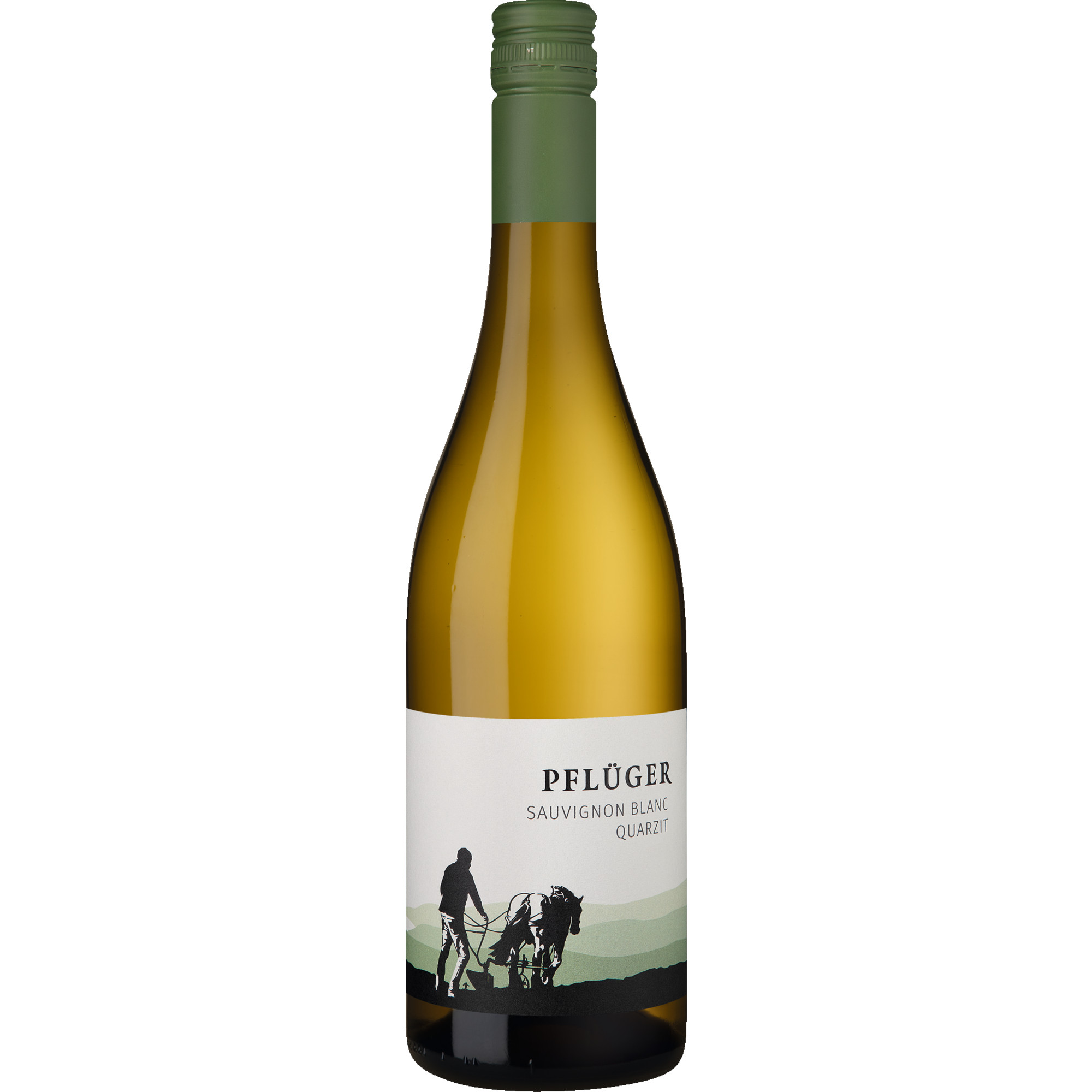 Pflüger Sauvignon Blanc vom Quarzit, Trocken, Pfalz, Pfalz, 2025, Weißwein