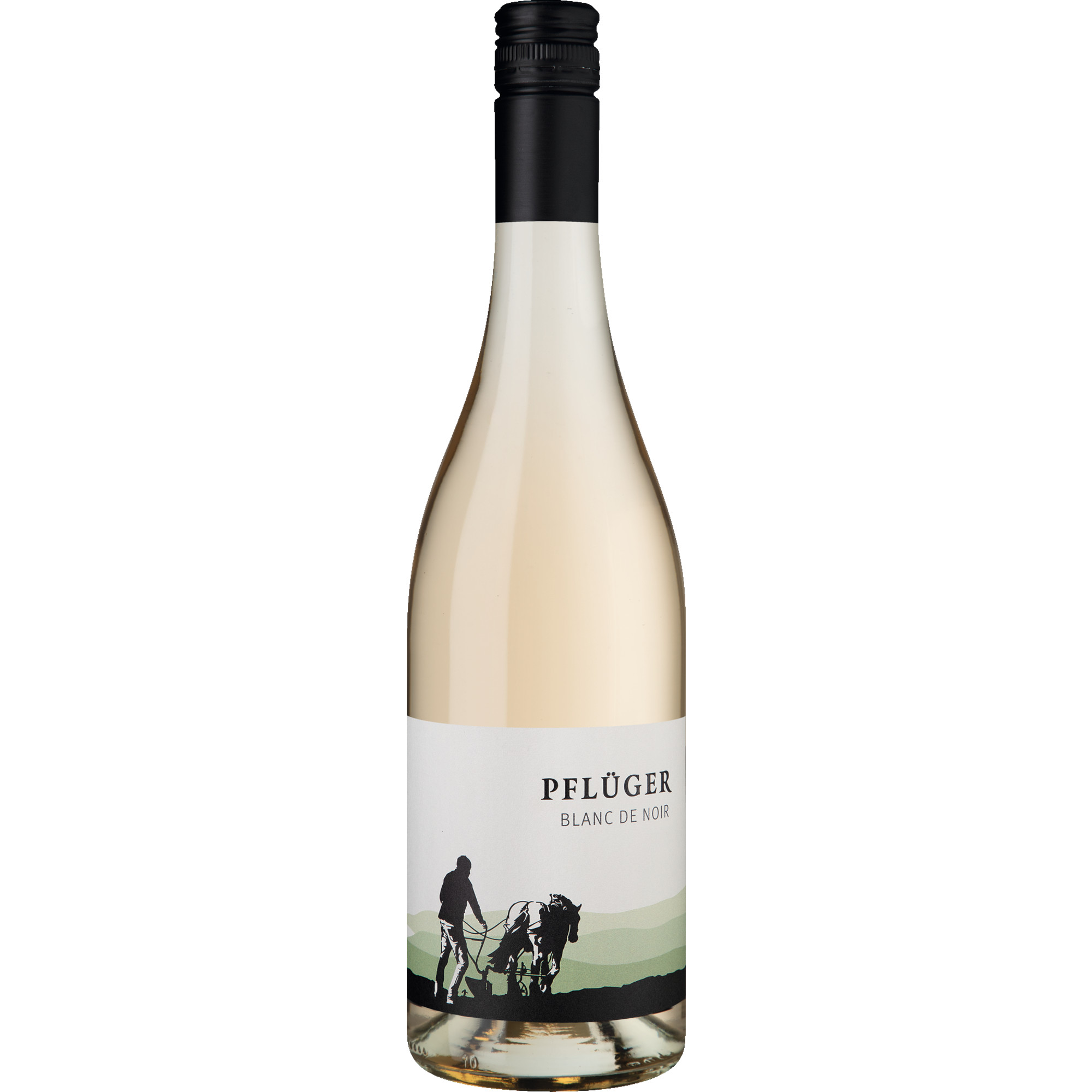 Pflüger Blanc de Noir, Trocken, Pfalz, Pfalz, 2025, Roséwein