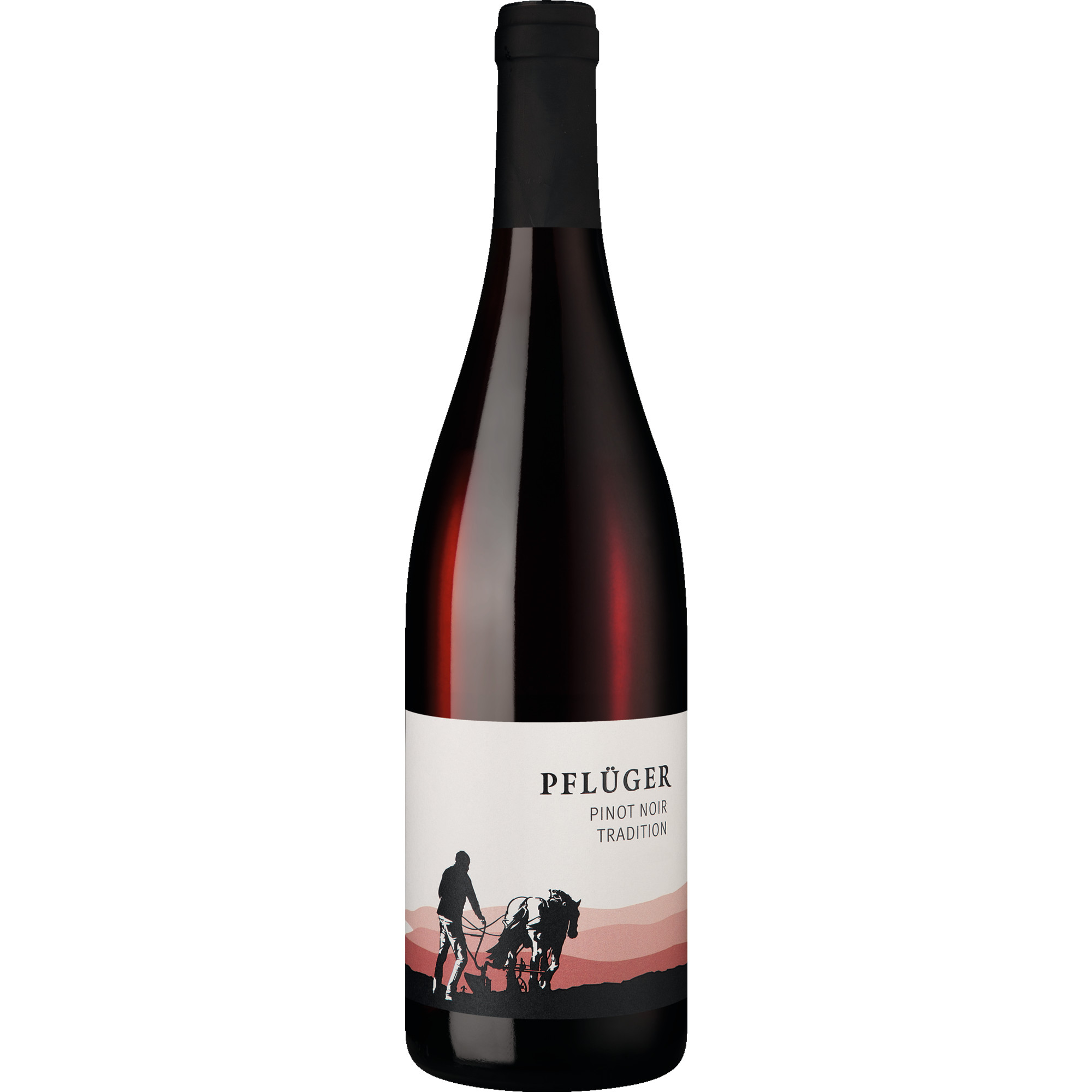 Tradition Pinot Noir, Trocken, Pfalz, Pfalz, 2024, Rotwein
