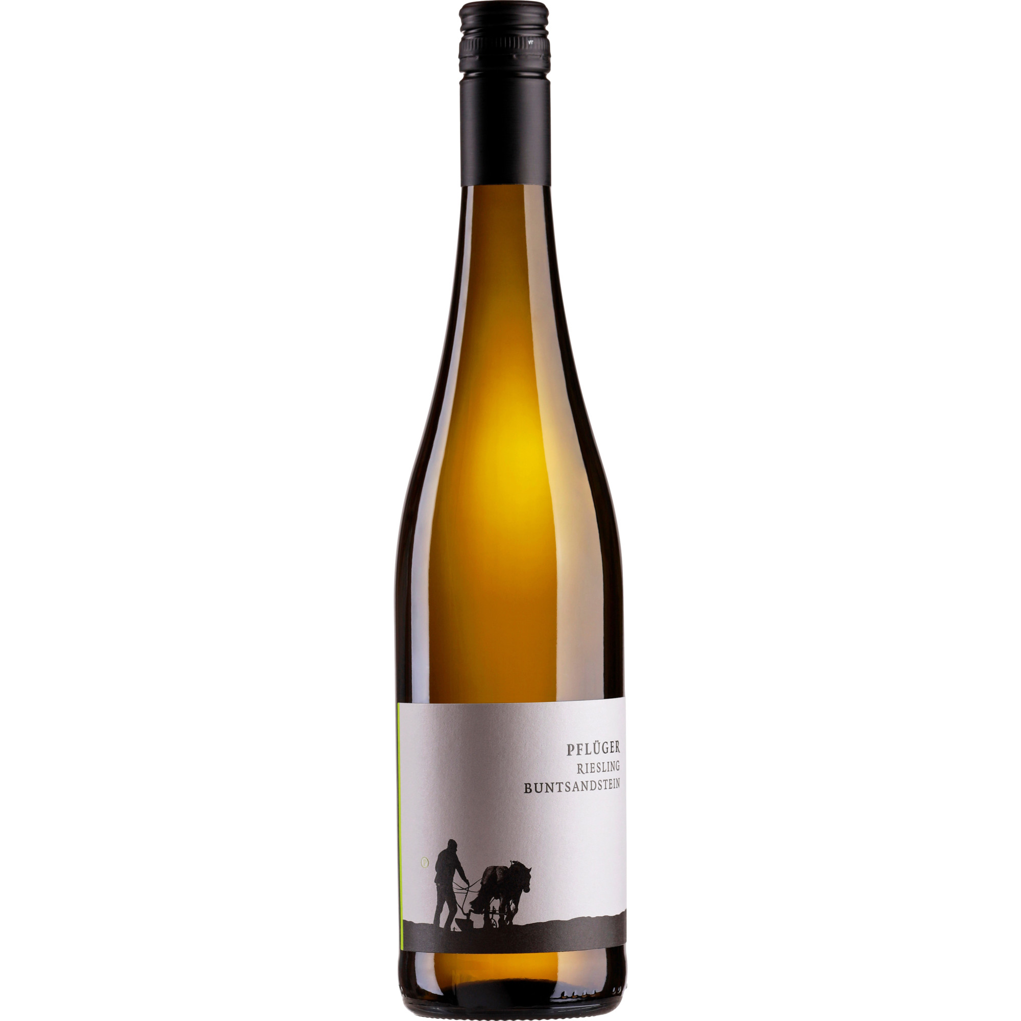Pflüger Riesling vom Buntsandstein Trocken 2025