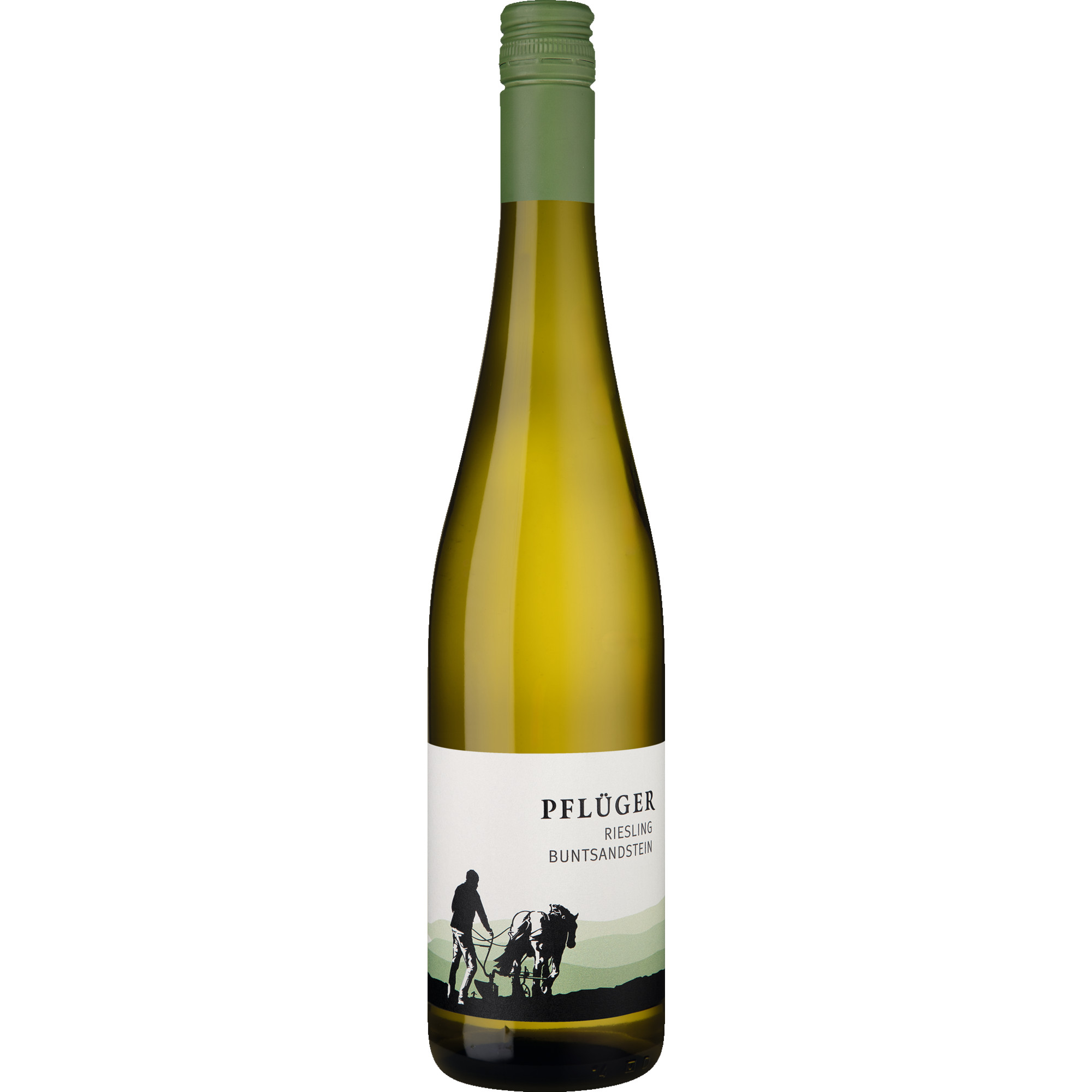 Pflüger Riesling vom Buntsandstein, Trocken, Pfalz, Pfalz, 2025, Weißwein