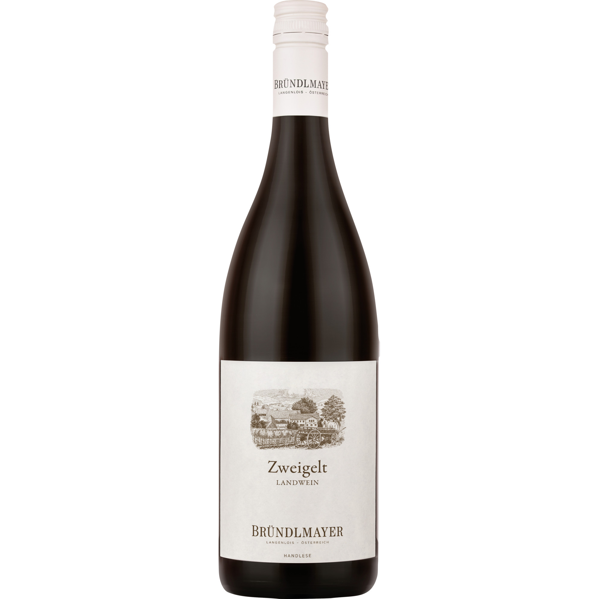Bründlmayer Zweigelt, Trocken, Niederösterreich, Niederösterreich, 2021, Rotwein