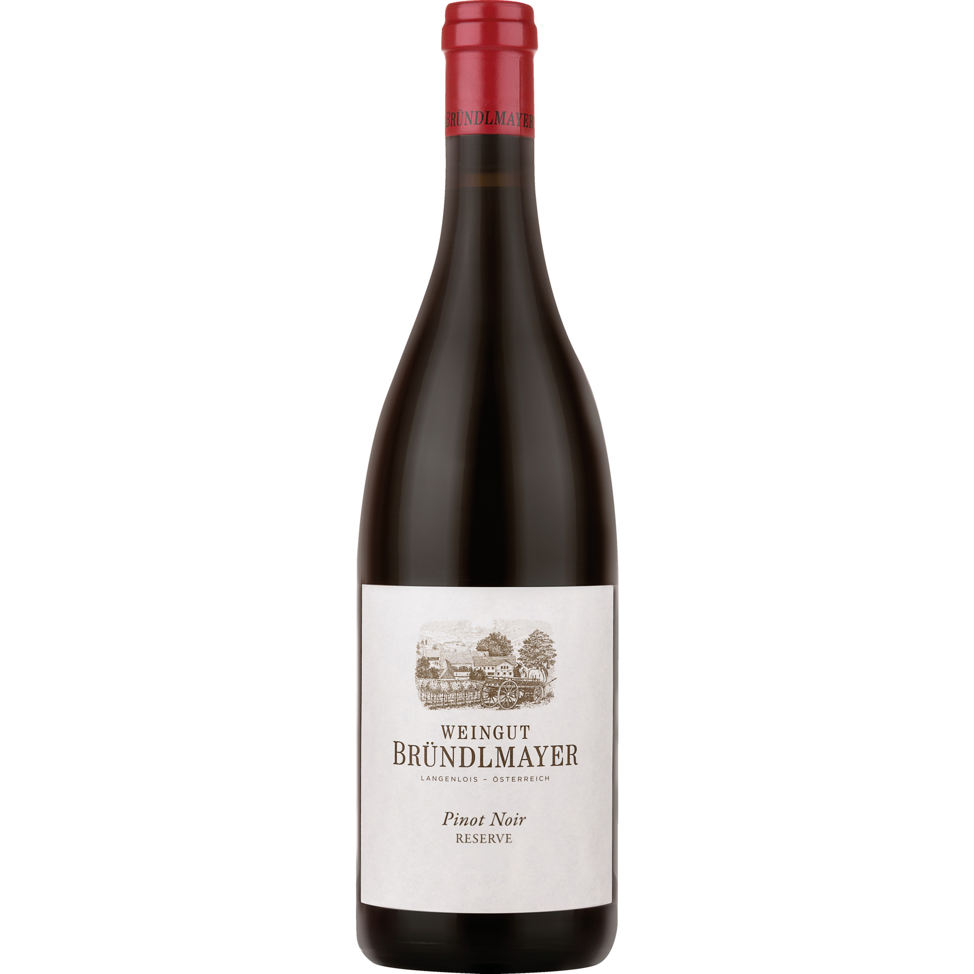 Bründlmayer Pinot Noir Reserve, Trocken, Niederösterreich, Niederösterreich, 2020, Rotwein
