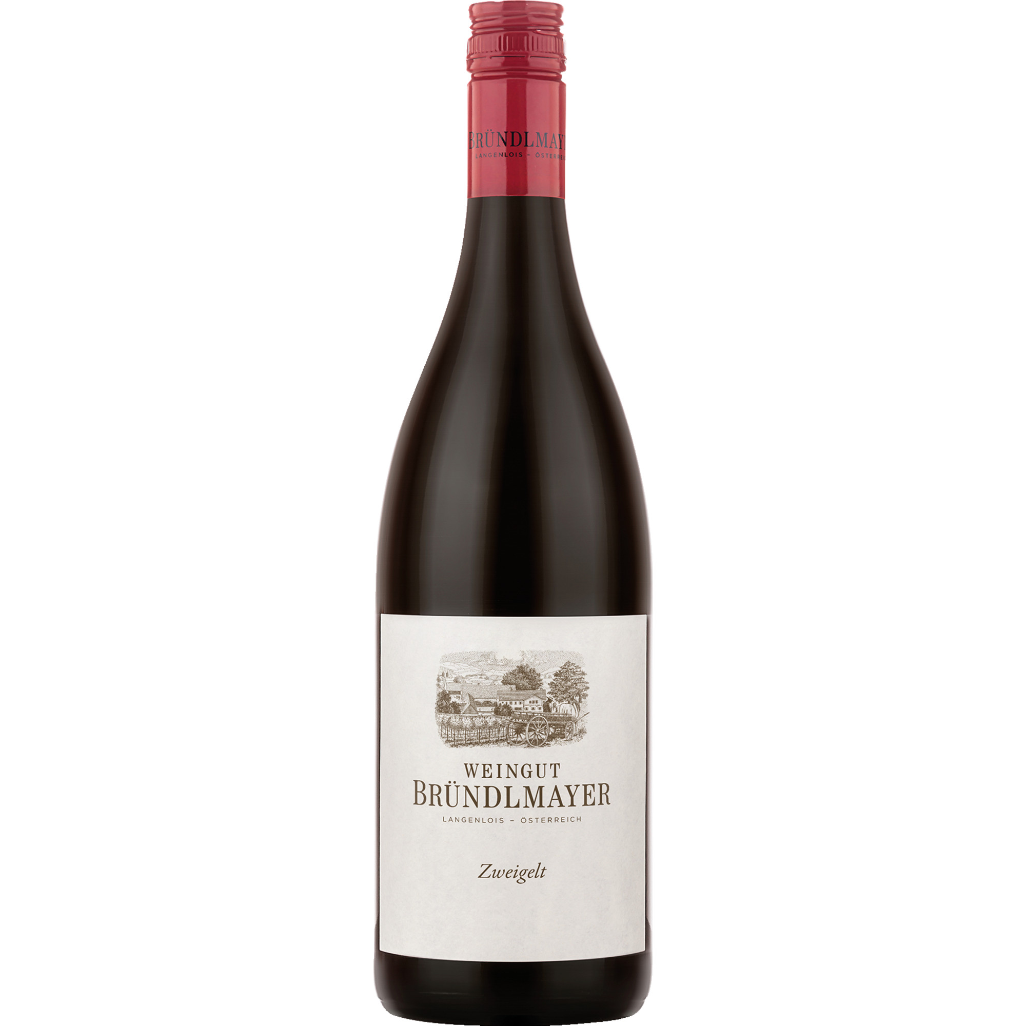 Bründlmayer Zweigelt Bio, Trocken, Niederösterreich, Niederösterreich, 2022, Rotwein