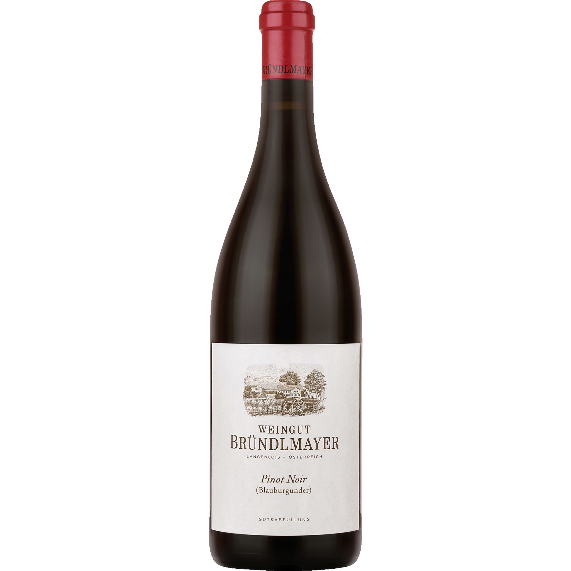 Image of Bründlmayer Pinot Noir Bio, Trocken, Niederösterreich, Niederösterreich, 2022, Rotwein