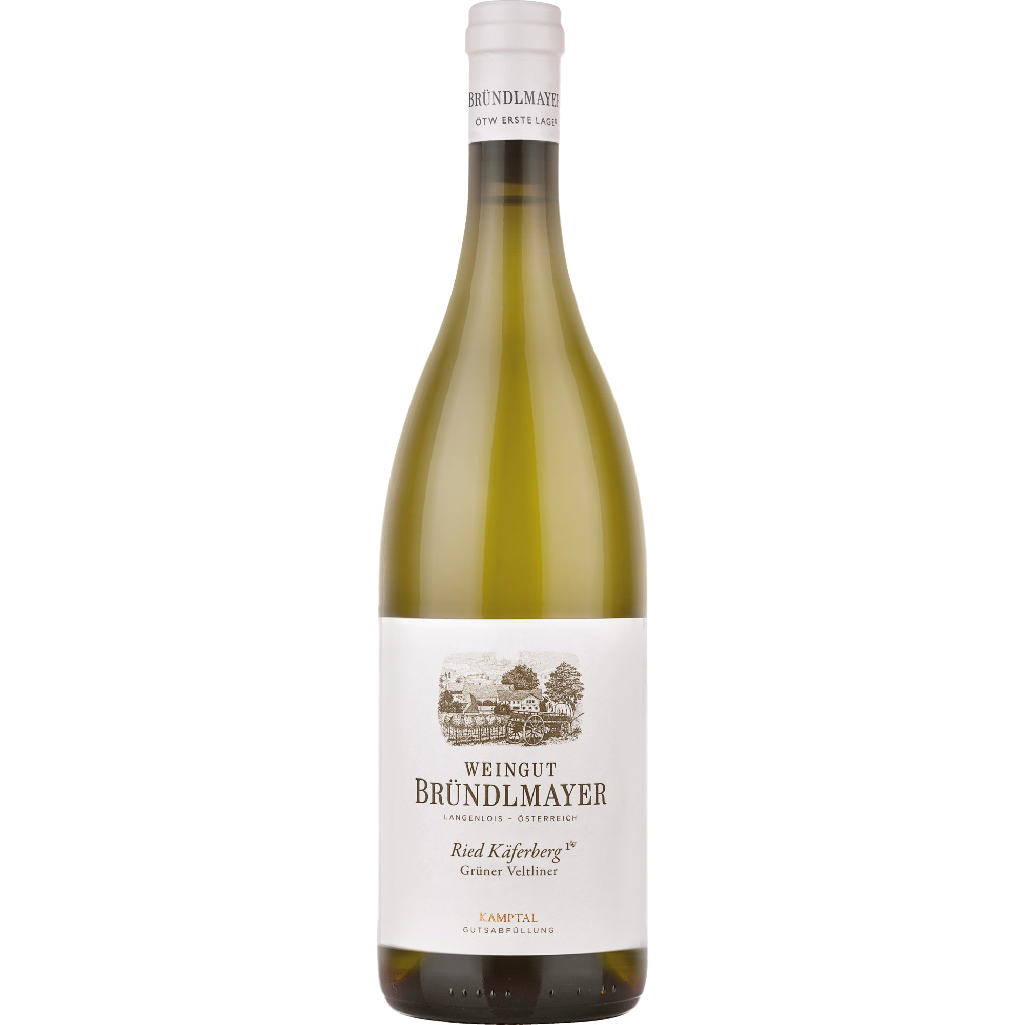 Bründlmayer Ried Käferberg Grüner Veltliner Bio, Trocken, Kamptal, Niederösterreich, 2023, Weißwein