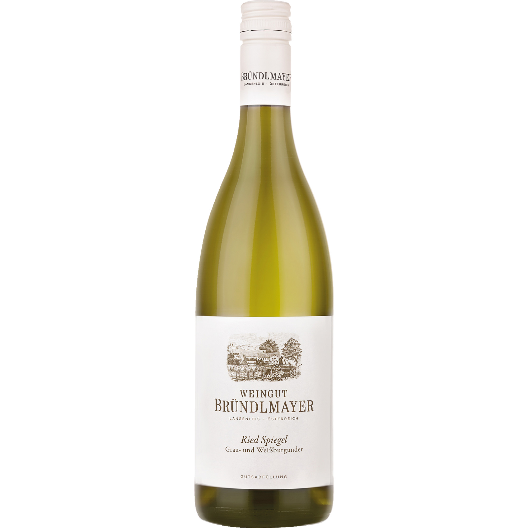 Ried Spiegel Grauburgunder Weißburgunder bio, Trocken, Niederösterreich, Niederösterreich, 2022, Weißwein