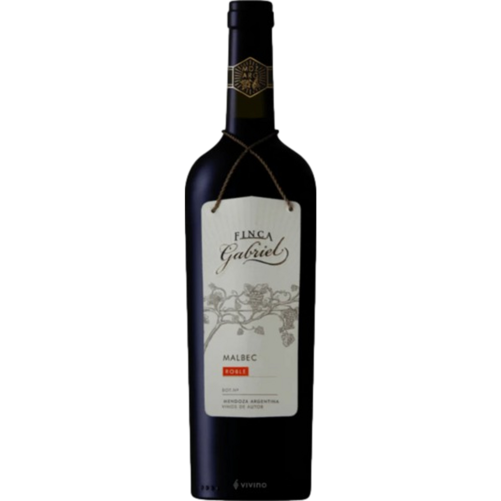 Finca Gabriel Malbec, Mendoza, Mendoza, 2021, Rotwein