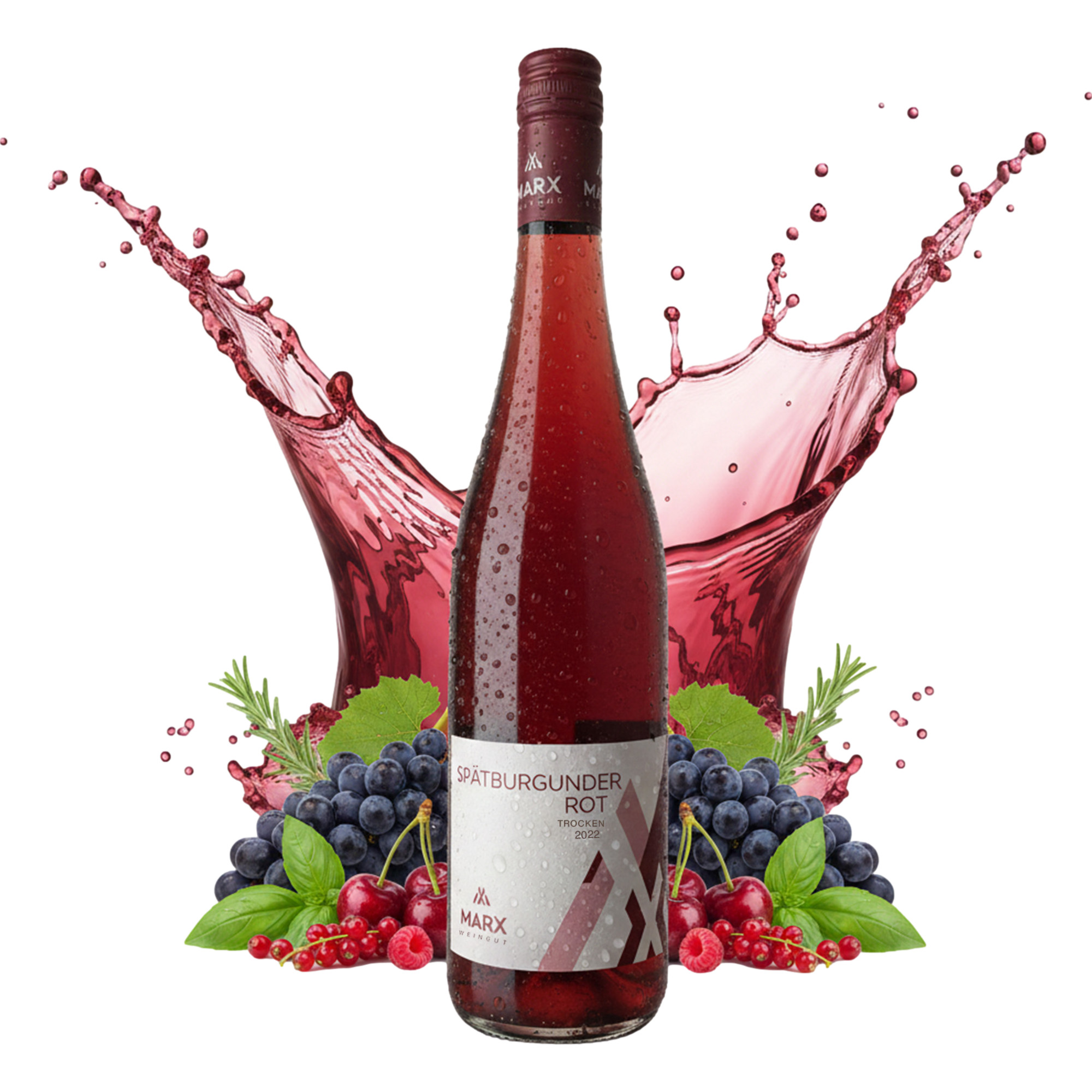 Weingut Marx Spätburgunder Rot, Trocken, Mosel, Mosel, Rotwein