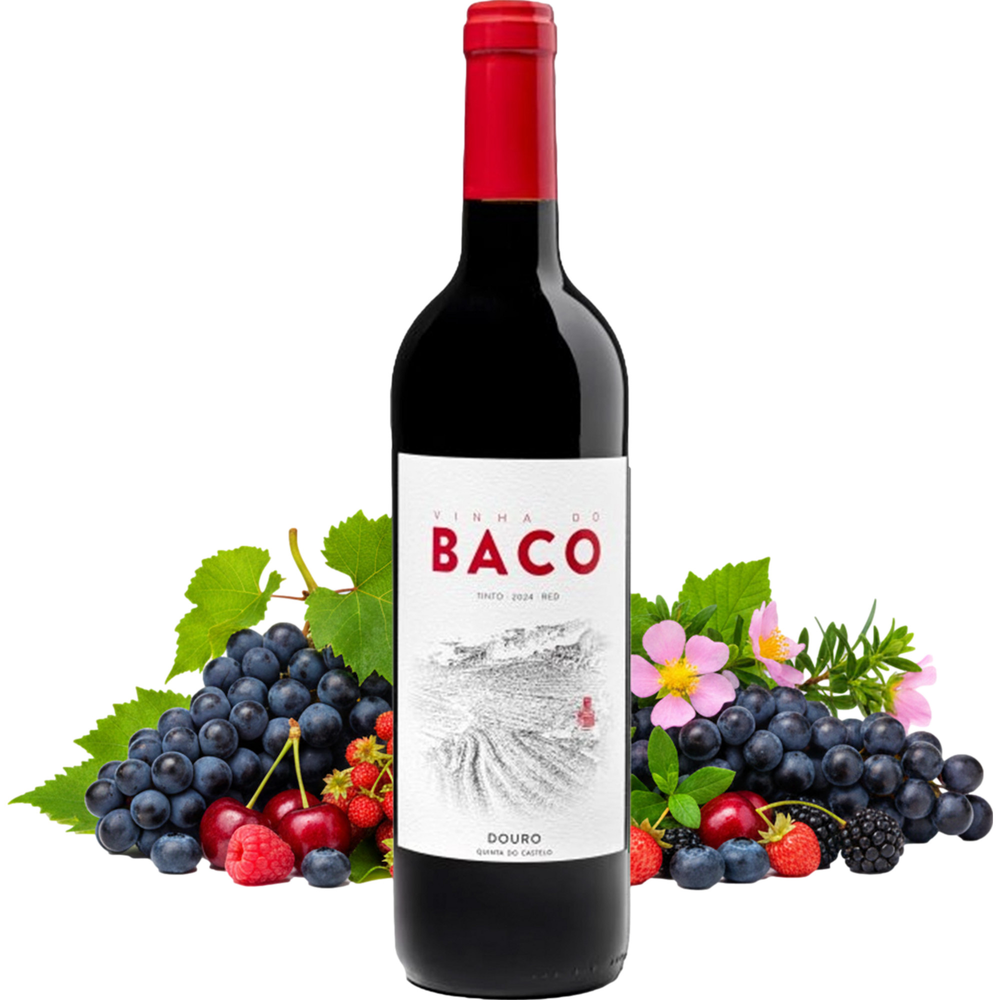 Quinta do Castelo Vinha do Baco Tinto Douro