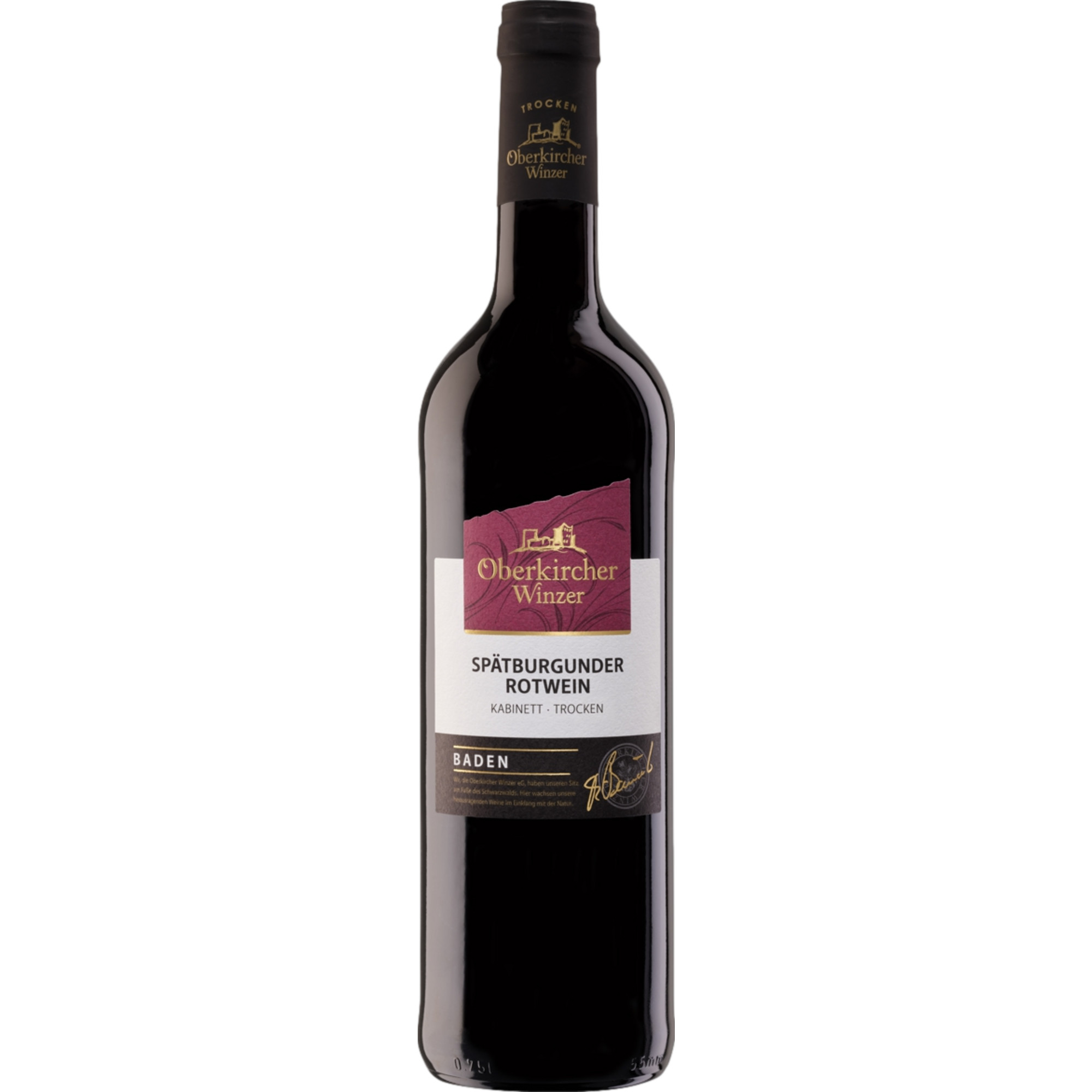 Oberkircher Spätburgunder Kabinett, Trocken, Baden, Baden, 2025, Rotwein
