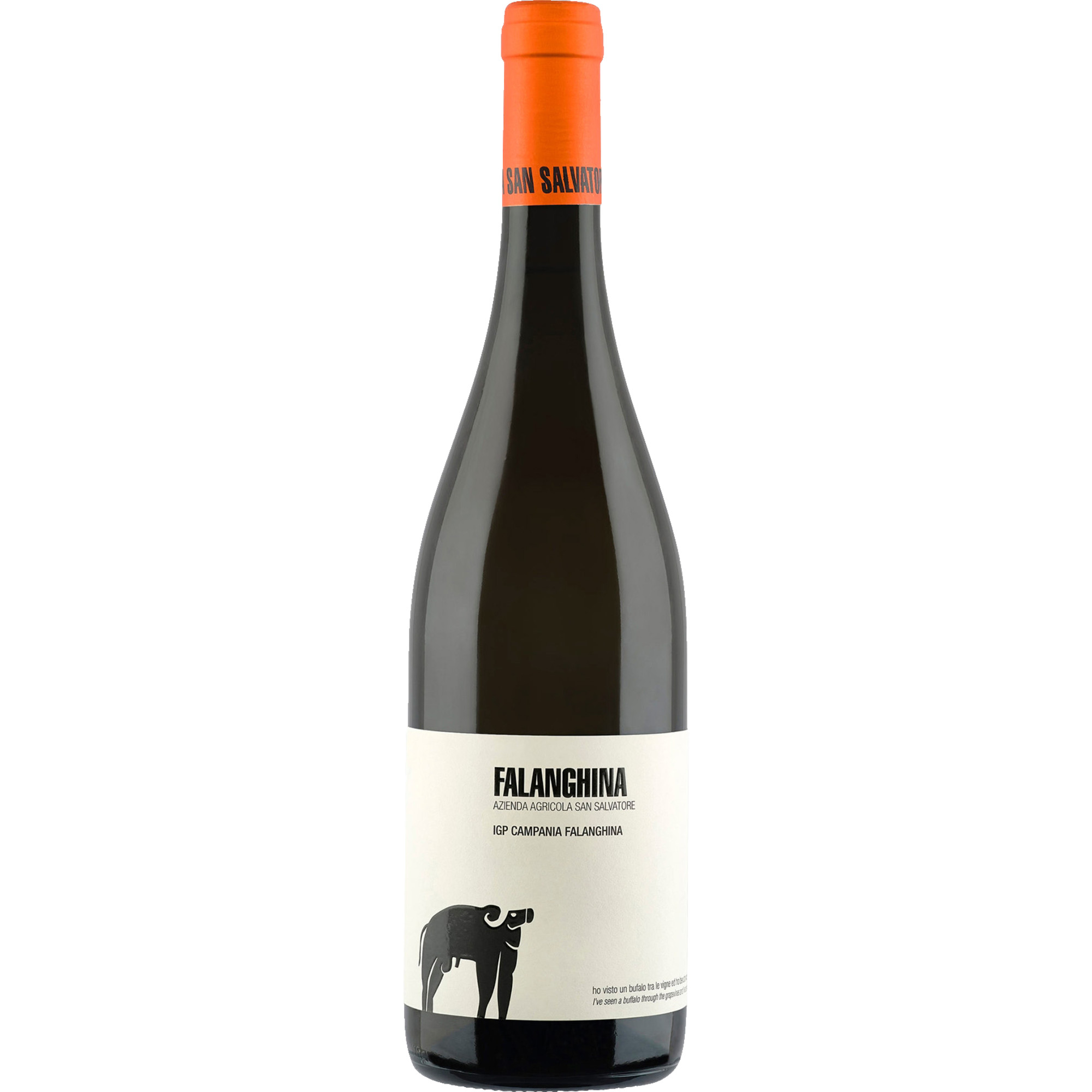 San Salvatore Falanghina Bianco Campania 2025