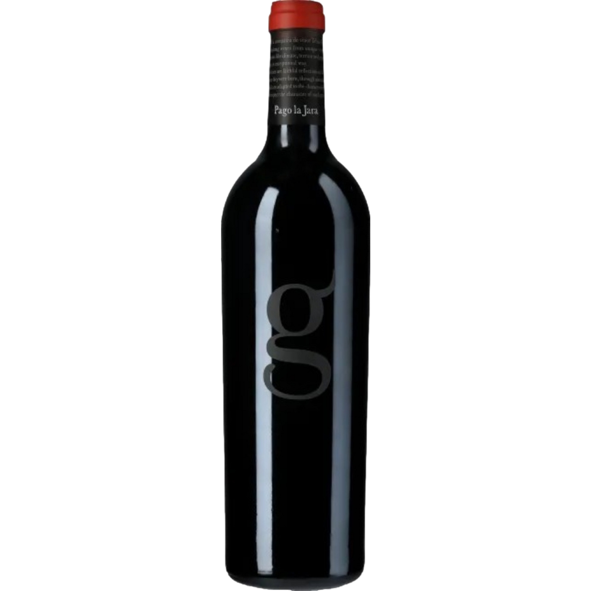 Telmo Rodríguez Toro »Pago la Jara« Rotwein Trocken aus Spanien