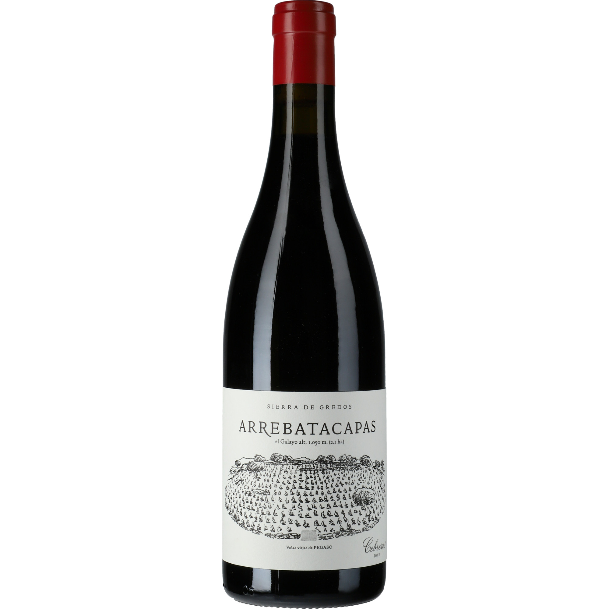 Telmo Rodríguez Pegaso Arrebatacapas Rotwein Trocken aus Spanien