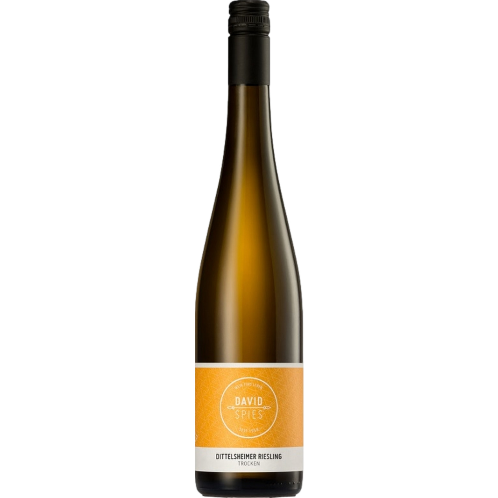 David Spies Alte Reben Riesling, Trocken, Rheinhessen, Rheinhessen, 2022, Weißwein