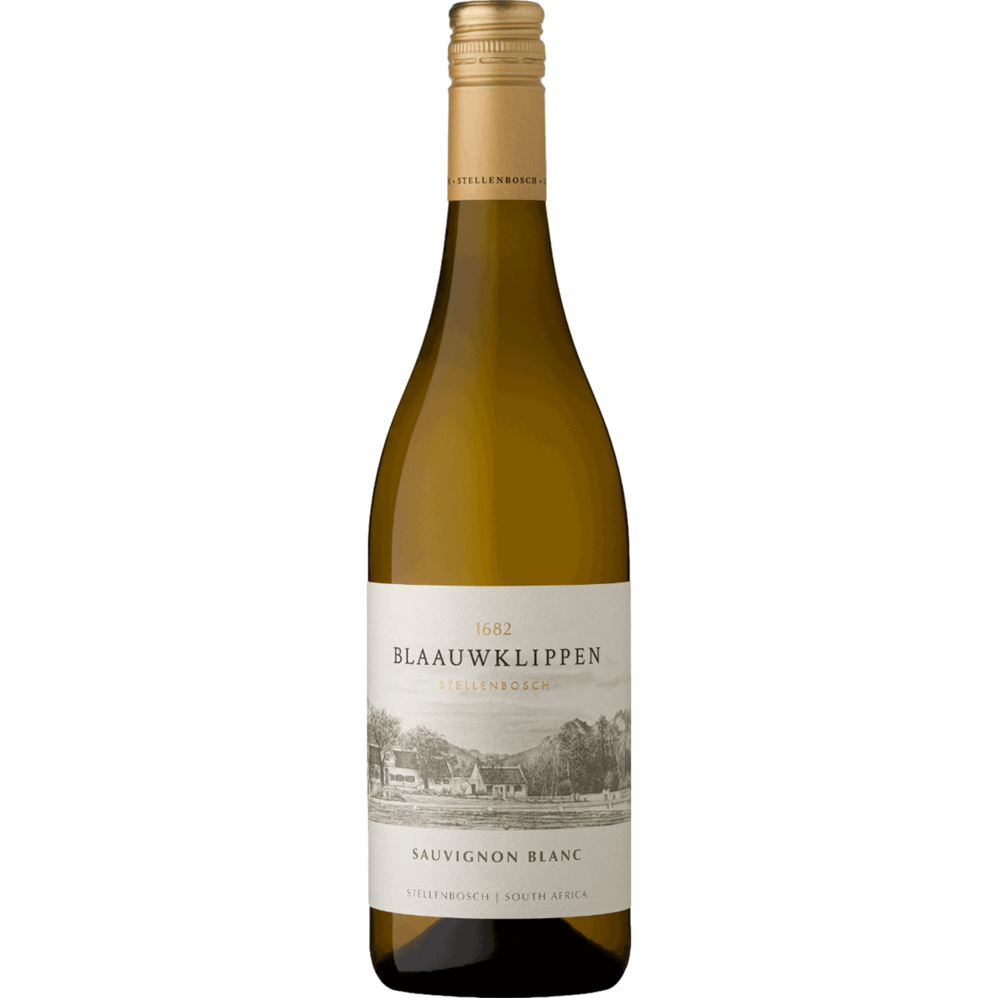 Blaauwklippen Sauvignon Blanc WO Stellenbosch 2025