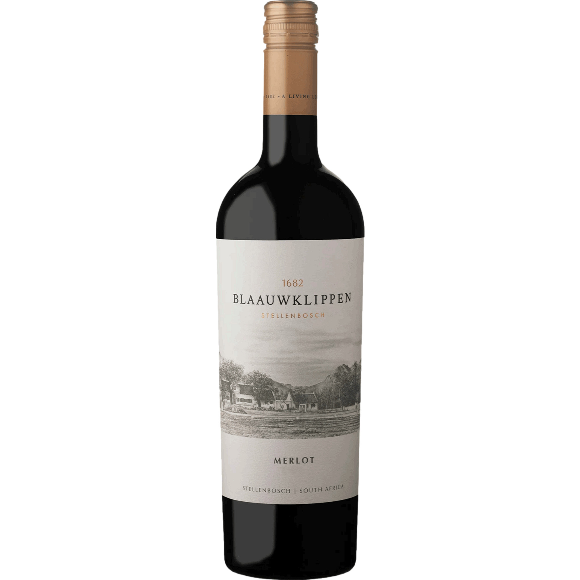 Blaauwklippen Merlot, WO Stellenbosch, Western Cape, 2024, Rotwein