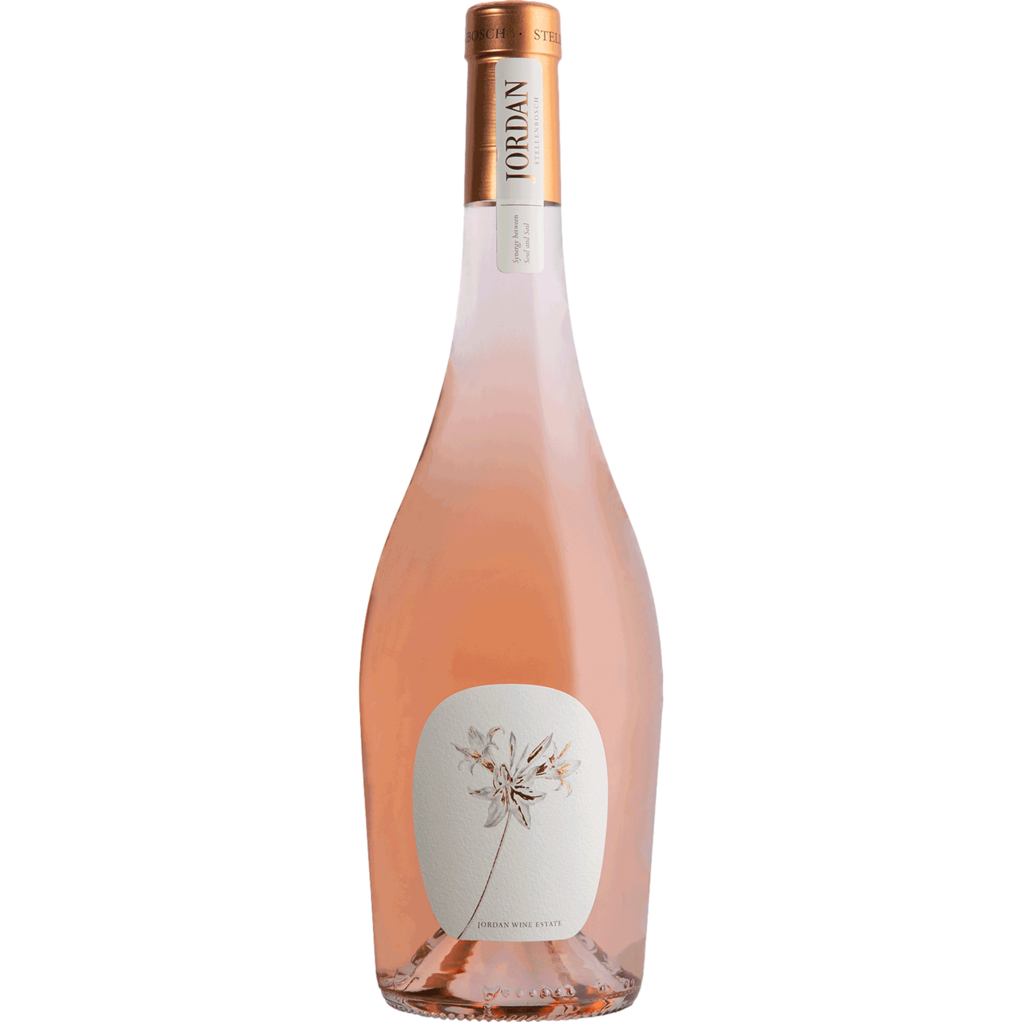 Jordan Dry Rosé, WO Stellenbosch, Western Cape, 2024, Roséwein